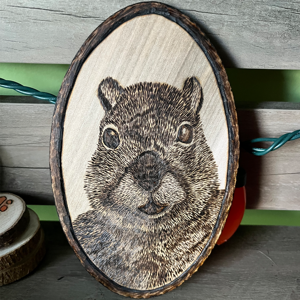 Squireel.png