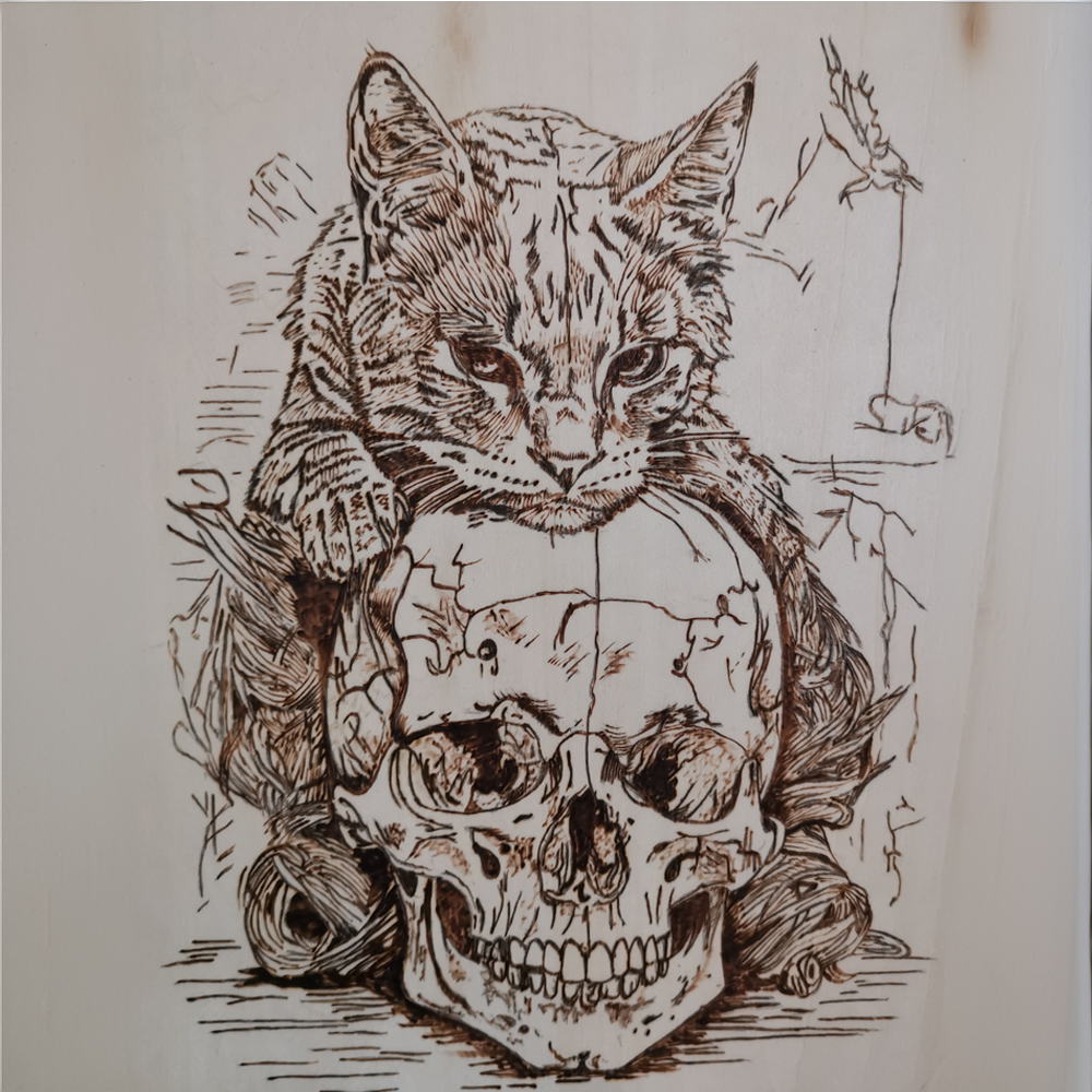 Cat skull wood Background.png