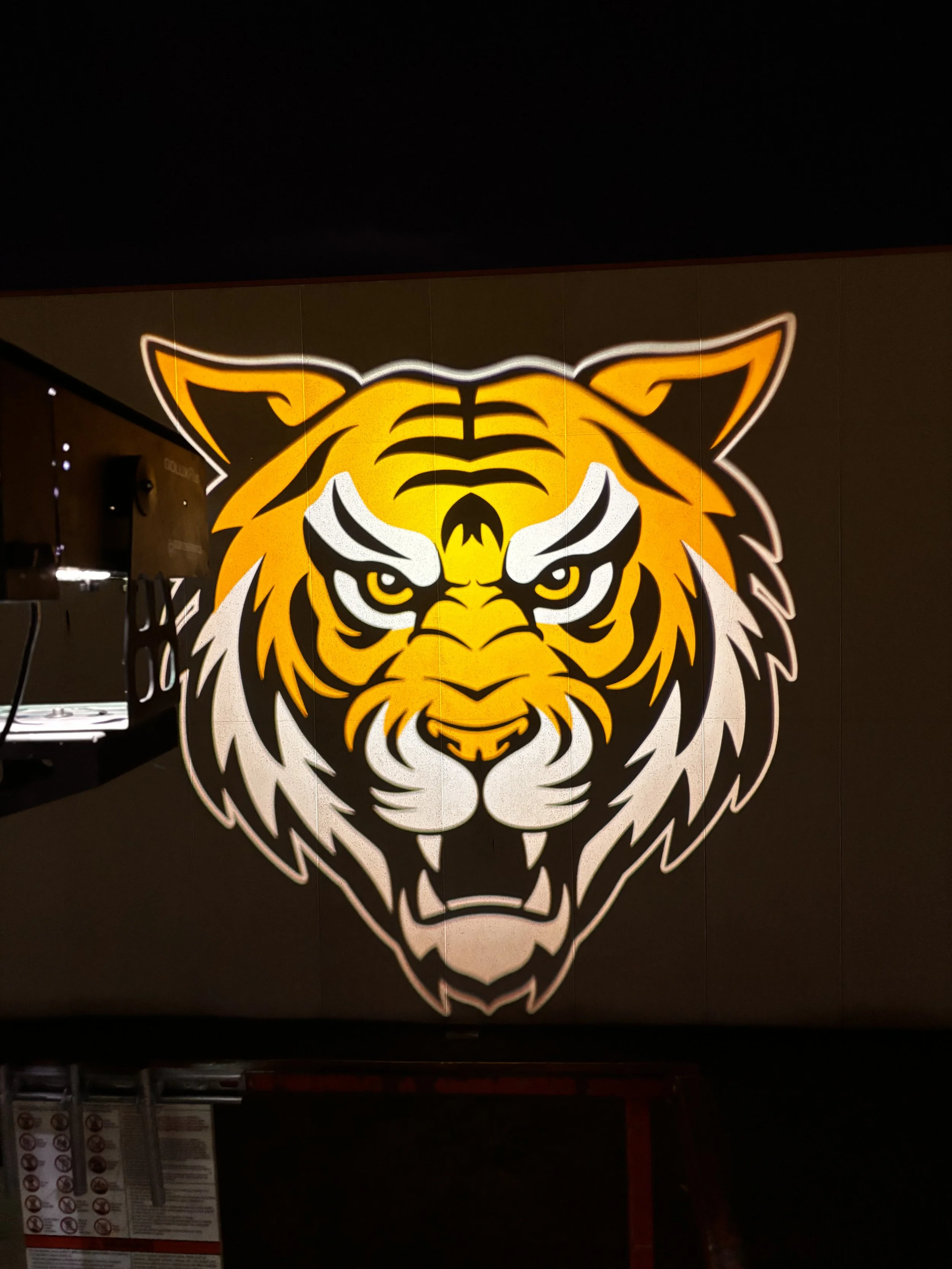 PROJECTION MARKETING