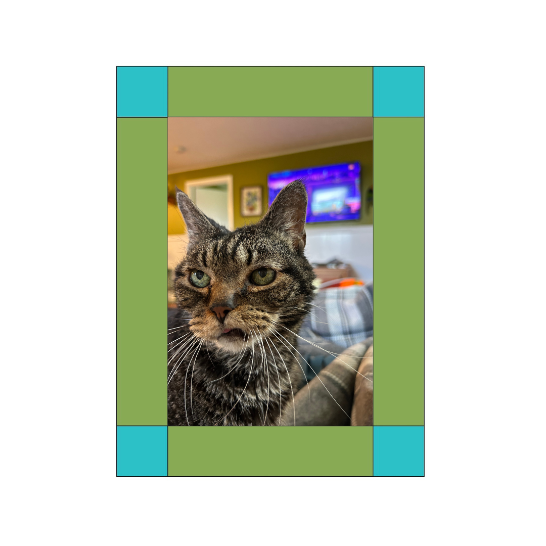 Pic Frame Class Example.png