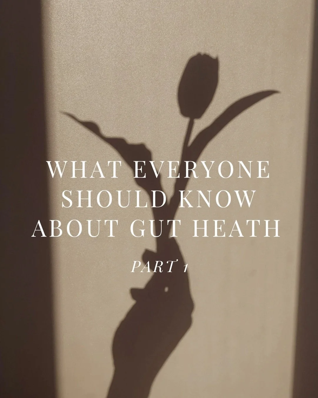 What I wish everyone knew about gut health after resolving chronic digestive symptoms for hundreds of clients 🫡🤍

&amp; after personally navigating 10+ years of chronic bloating, IBS, crushing fatigue, brain fog, reactive skin, anxiety, depression 