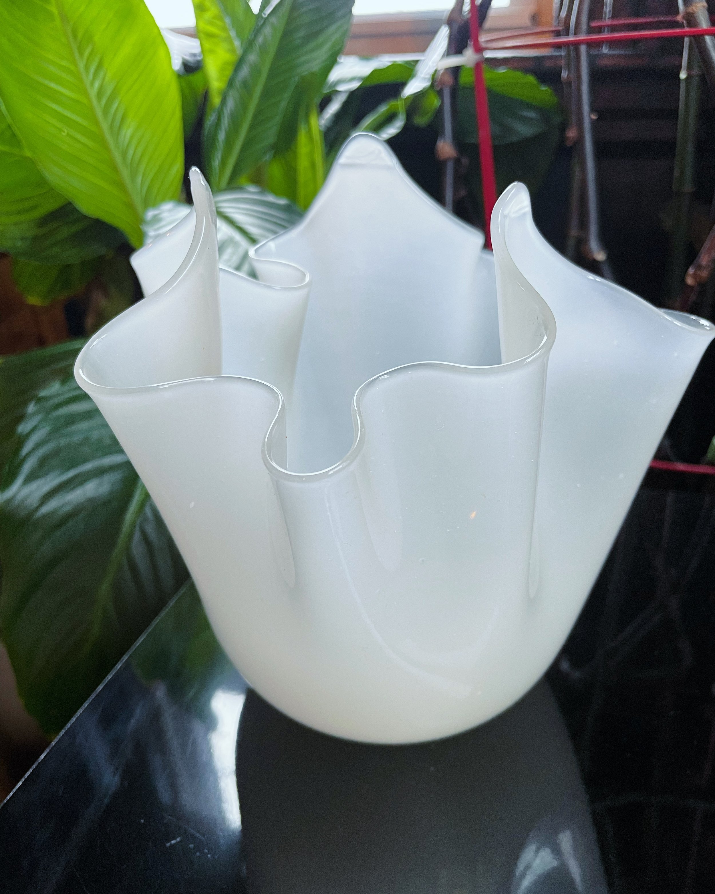 Photo Jul 06 2024, 7 04 22 PM.jpg