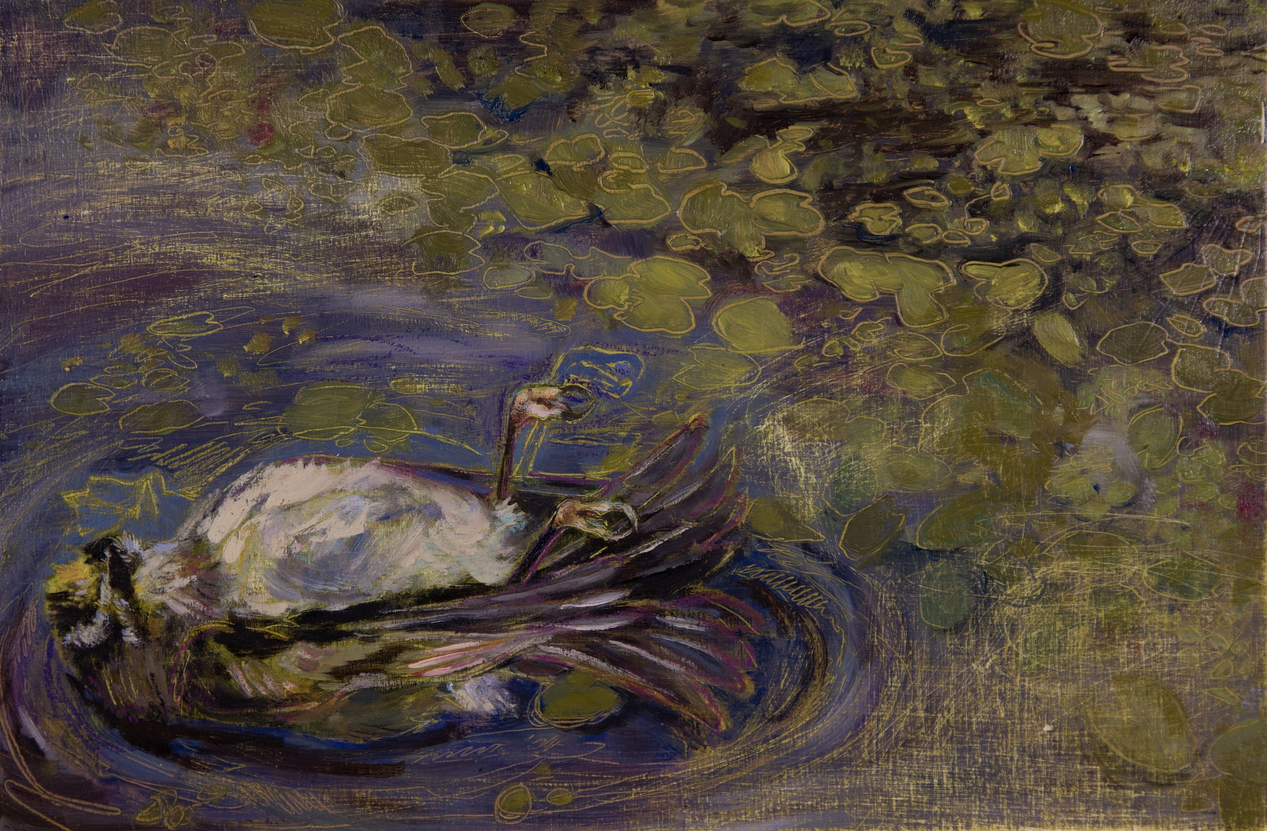 floating birddd.jpg