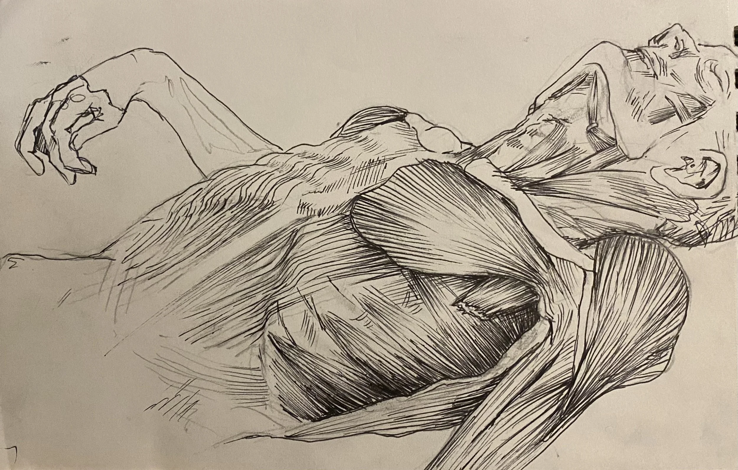 Serratus Anterior, pen on paper, 2024