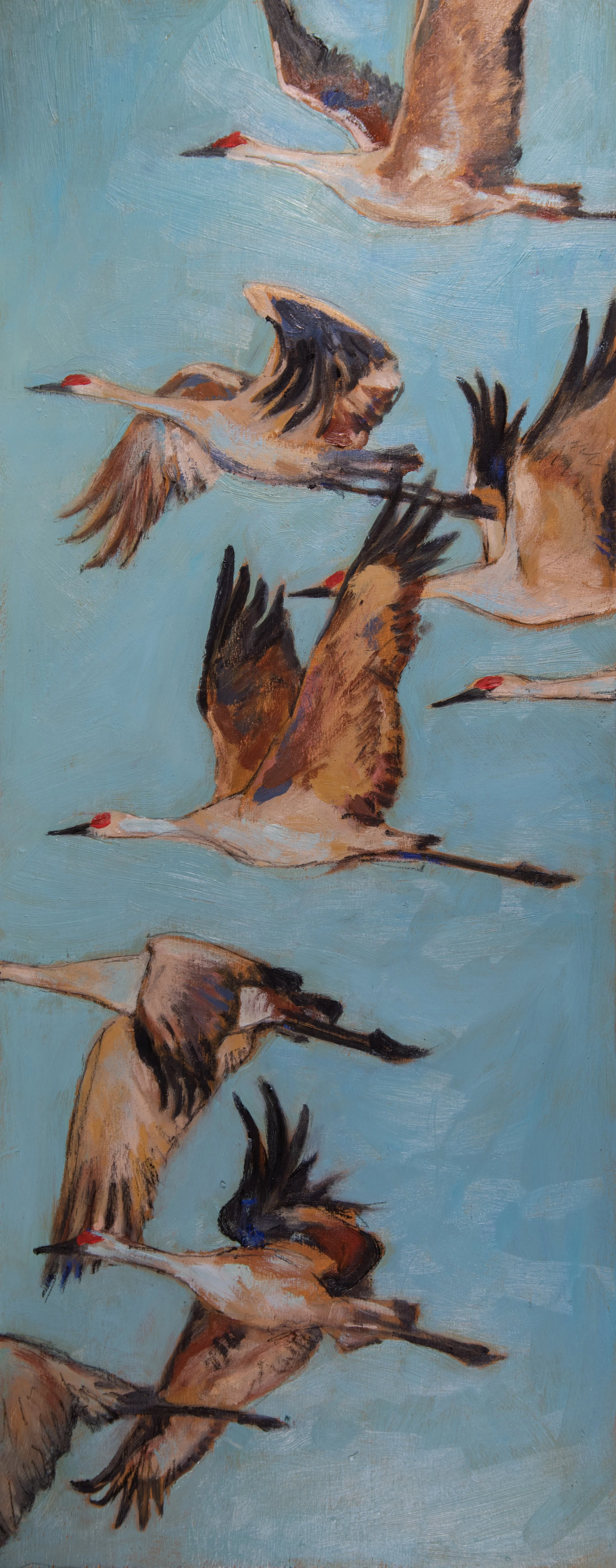 tall sandhill craness.jpg