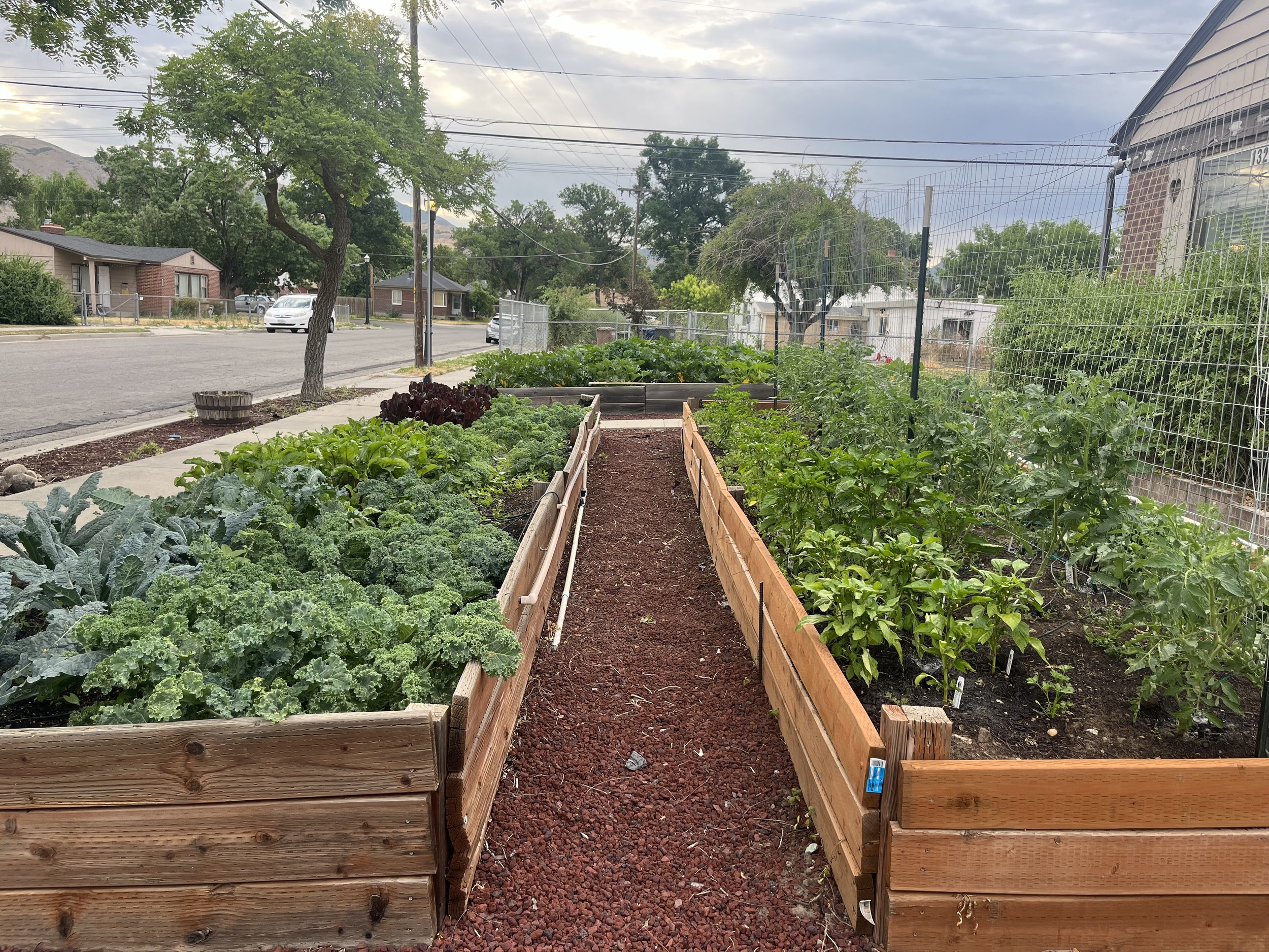 Weekly Garden Time