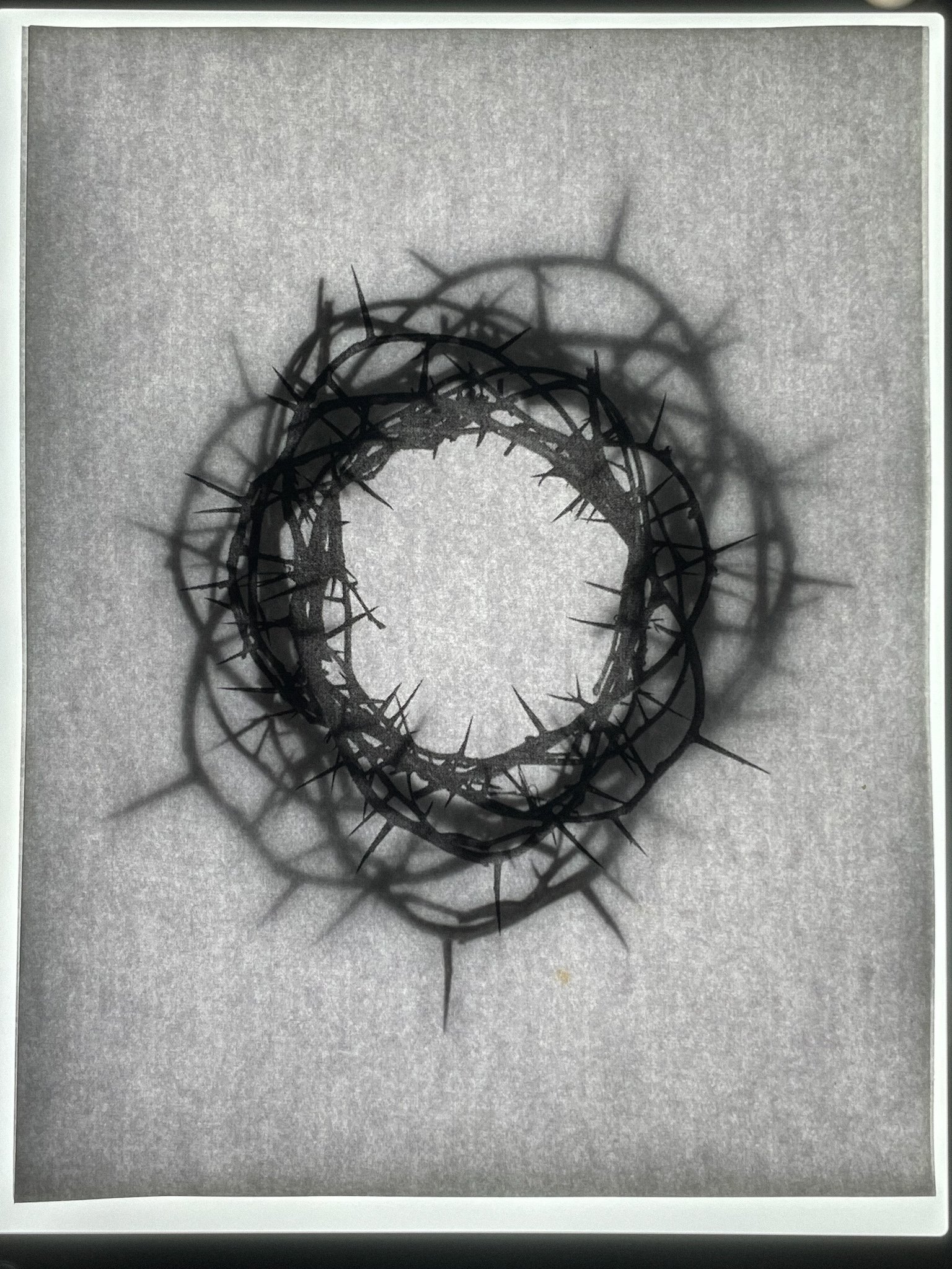 black and white image of thorny wreaths, glowing in a ghostly fashion