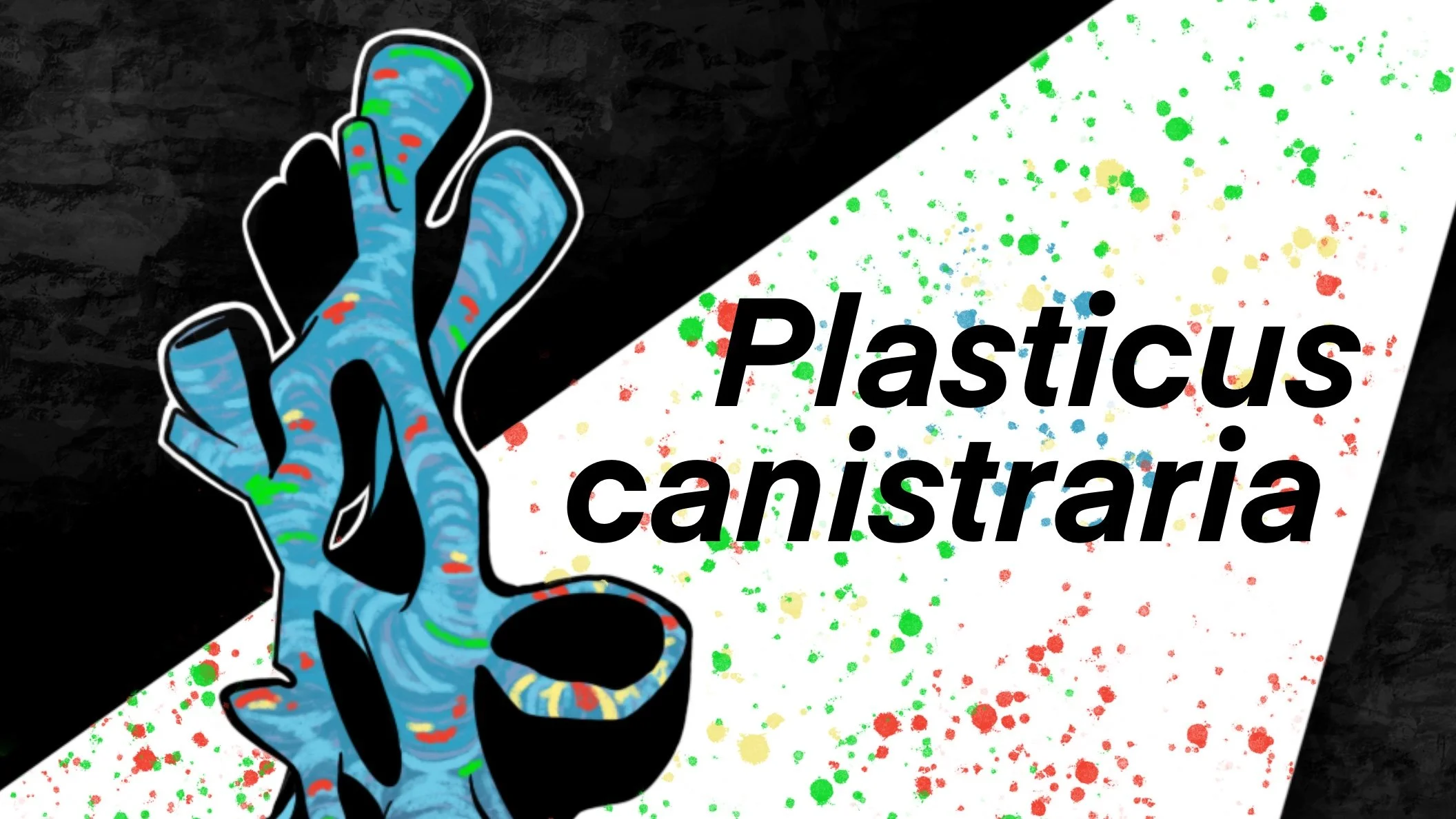 "Plasticus canistraria"