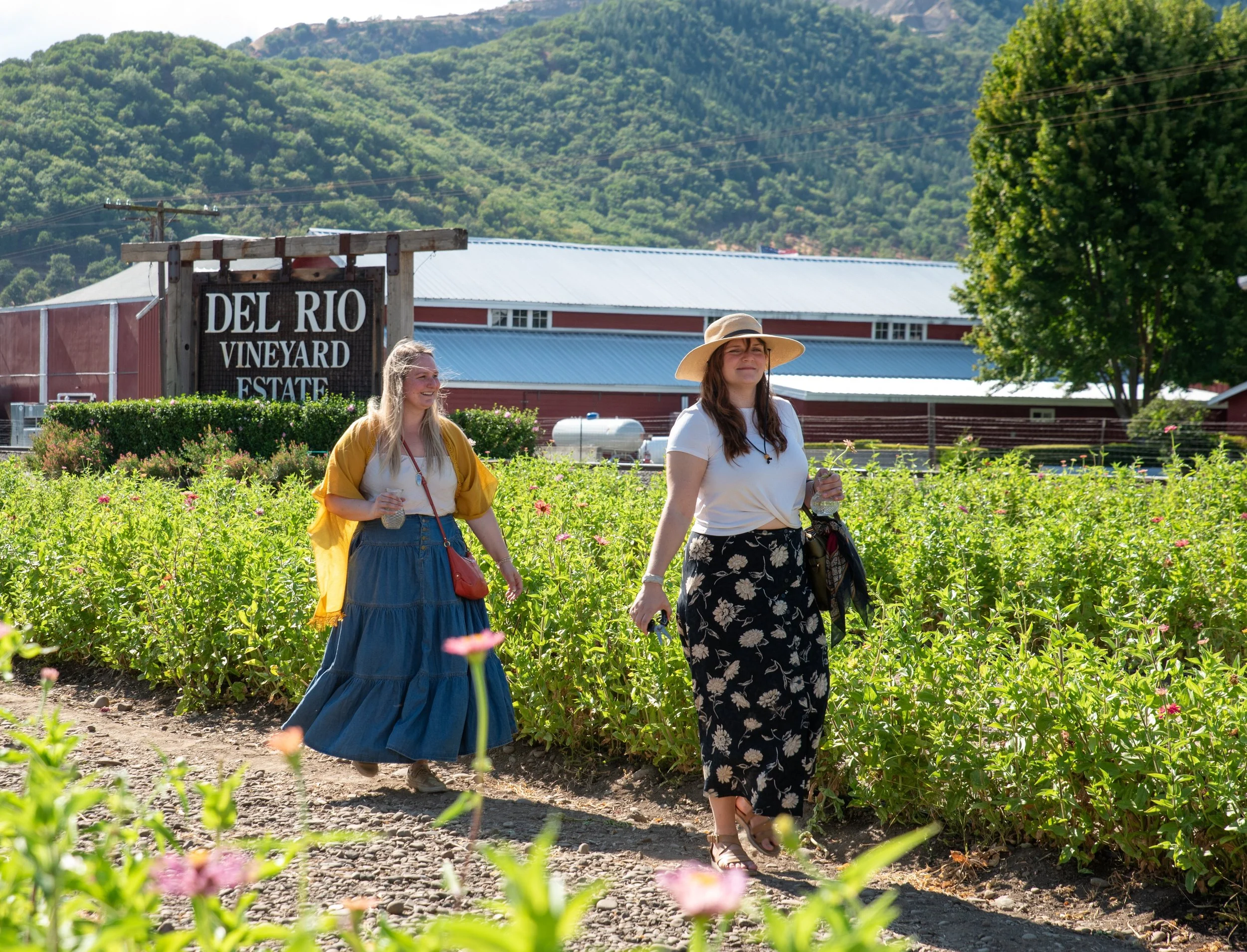 Two wine tour guests walk through a zinnia field on a Rogue Valley wine tours, wine tours Southern Oregon.