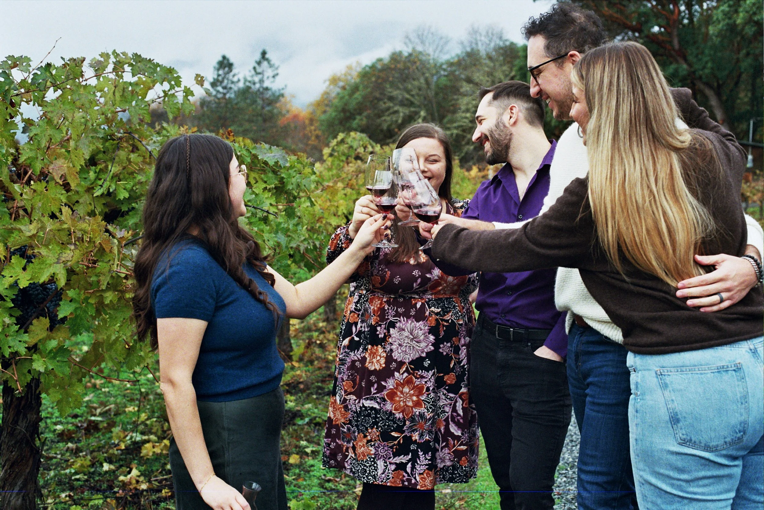 A group of friends cheers glasses of red wine in a vineyard on a wine tasting southern Oregon.