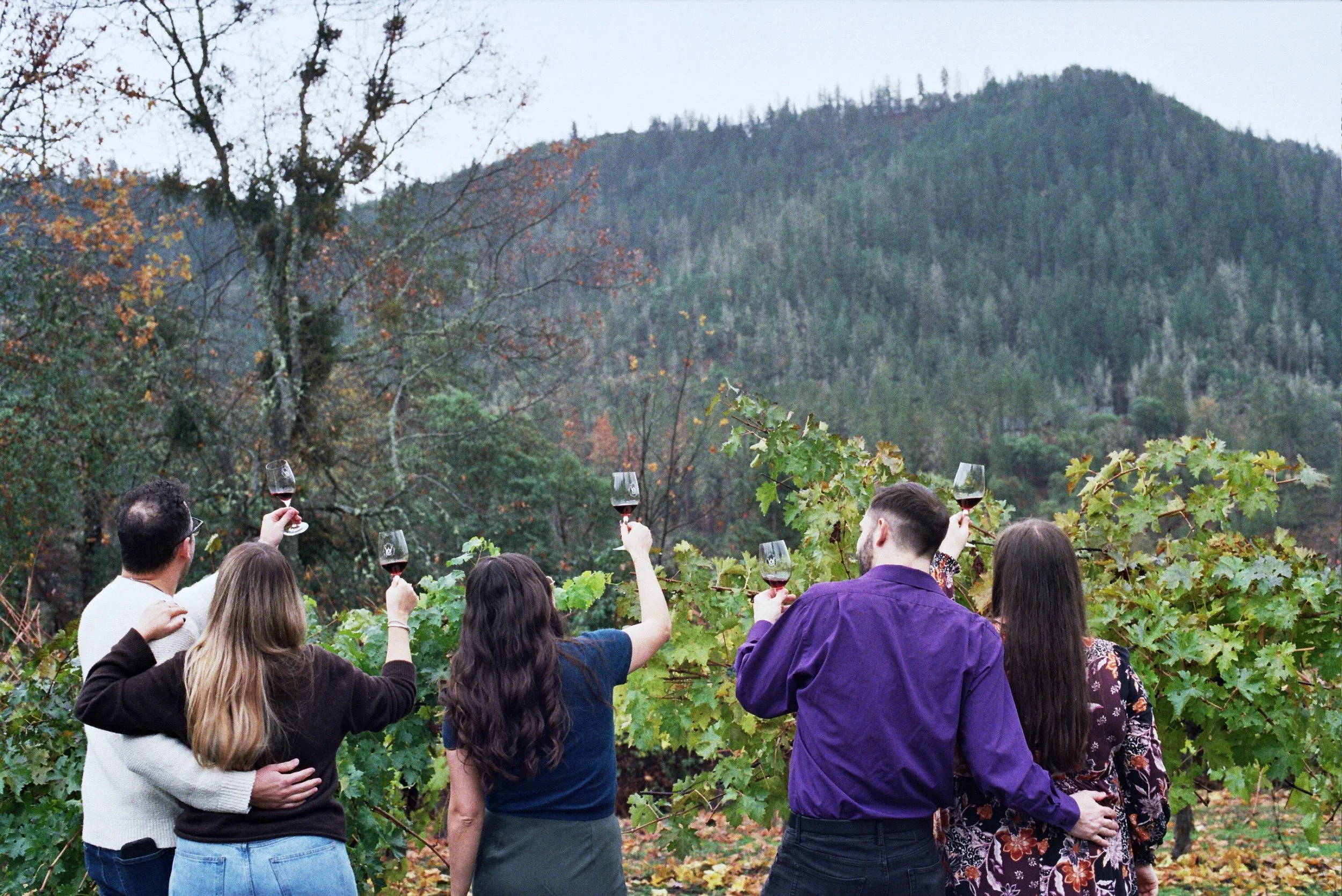 Guests on an Applegate wine tour raise glasses in a toast, facing a view of mountains on a Rogue Valley wine tours