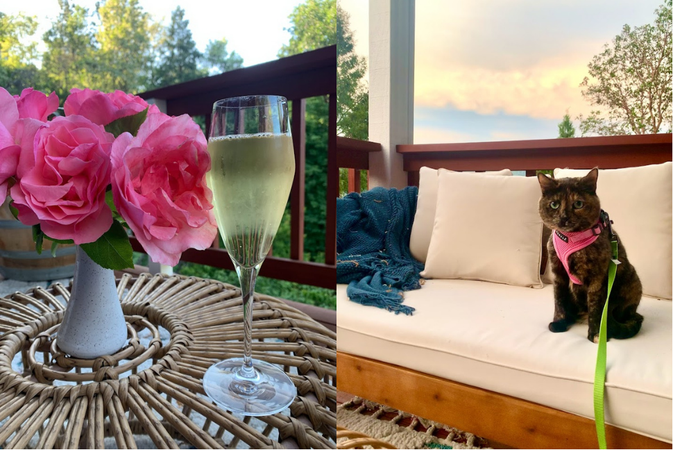 Pictures side by side of a glass of sparkling Rogue Valley wine and a cat in a harness with a sunset
