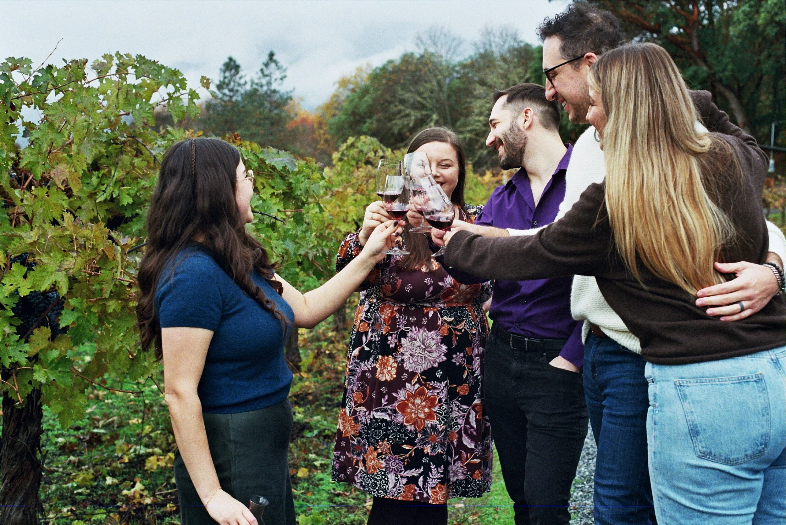 A group of five wine tasters cheers glasses of red wine in a Rogue Valley vineyard.
