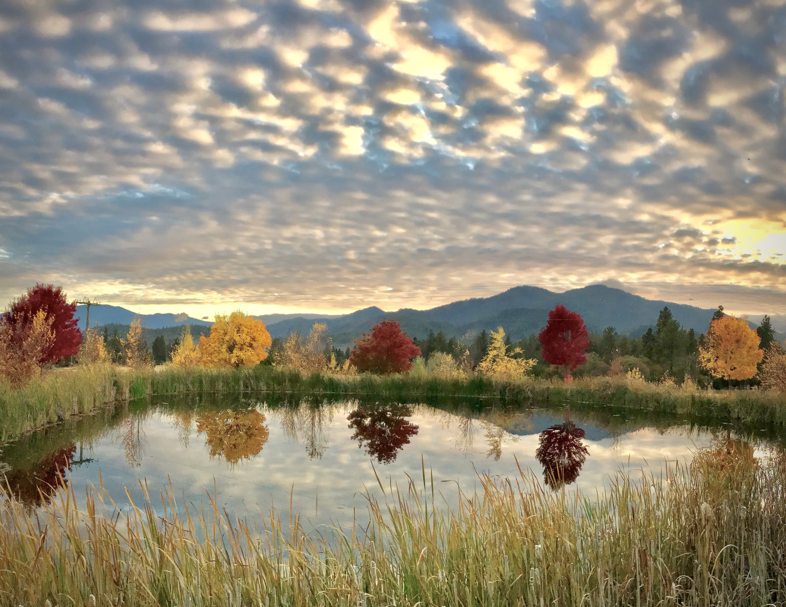 A beautiful sunset over a pond in the Applegate Valley, one of the things to do in Southern Oregon.