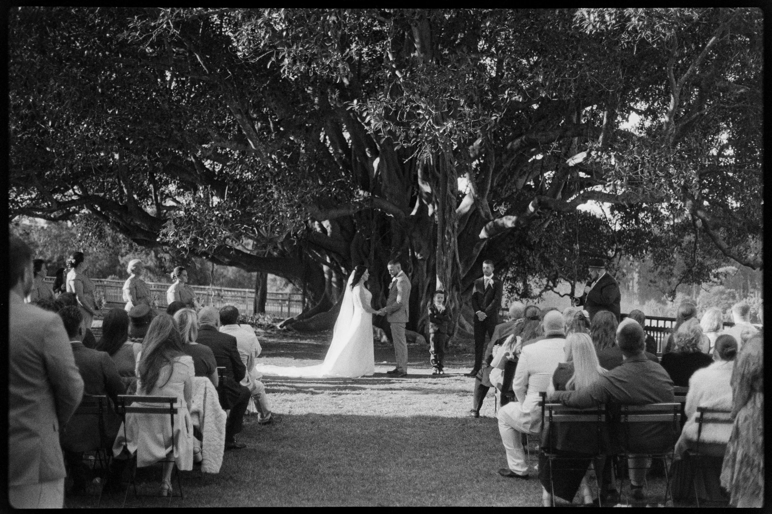 A black and white photo captures a wedding ceremony outdoors beneath a large, sprawling tree with dense foliage. The bride and groom stand together at the altar, surrounded by family and friends seated on benches and chairs, witnessing the event.