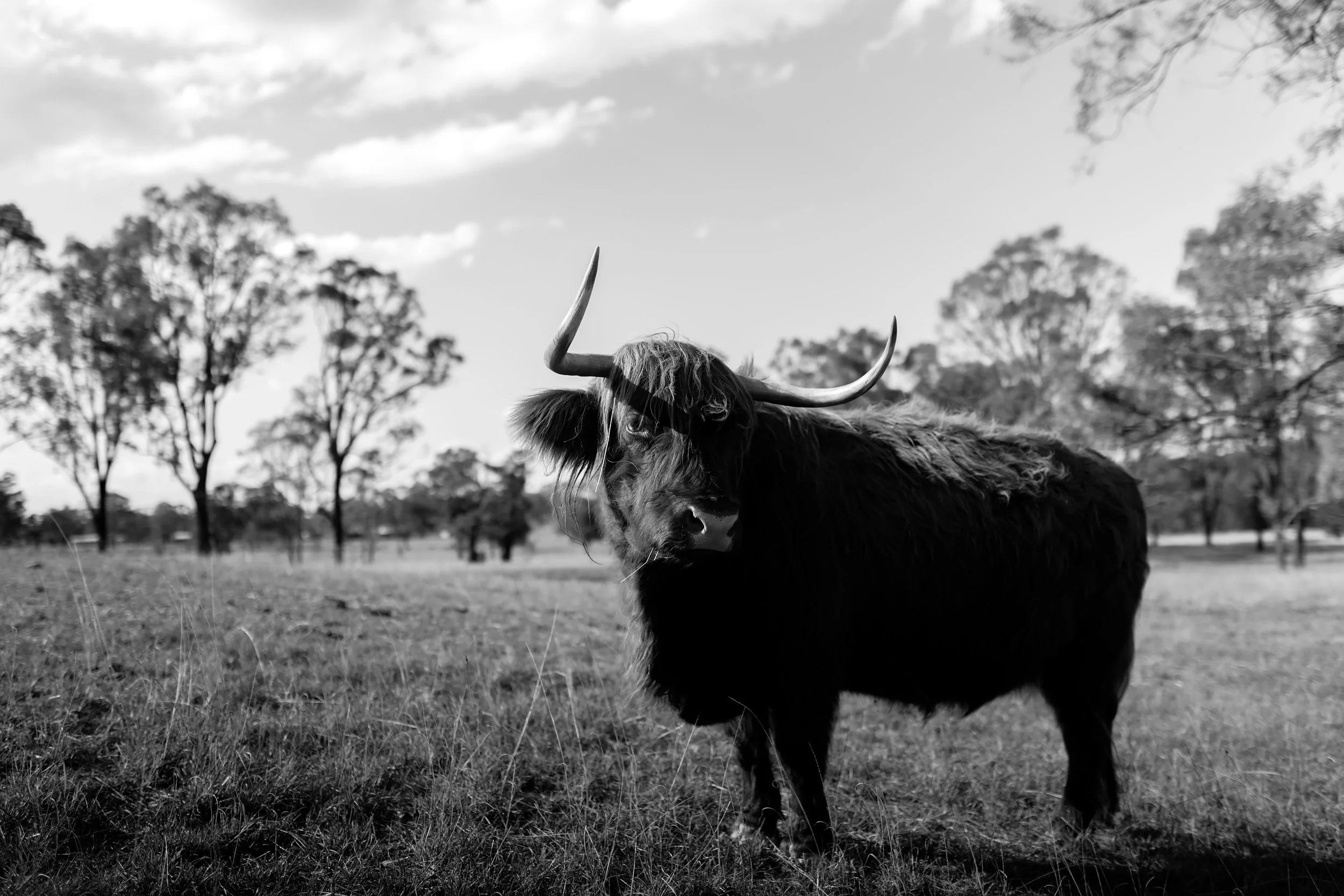 Blake Chaney Photography-492.jpg