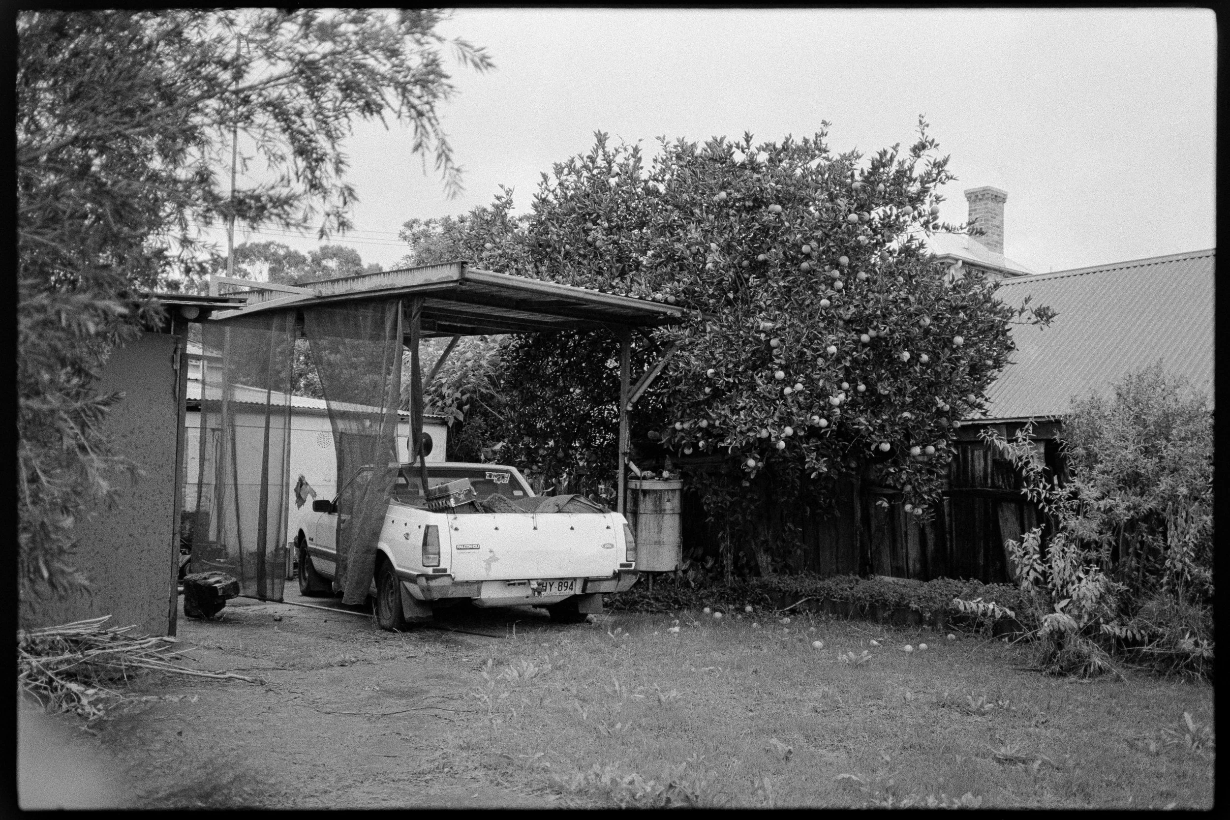 (Roll 31) June Kentmere 400  (Home Dev + Scan)-16.jpg
