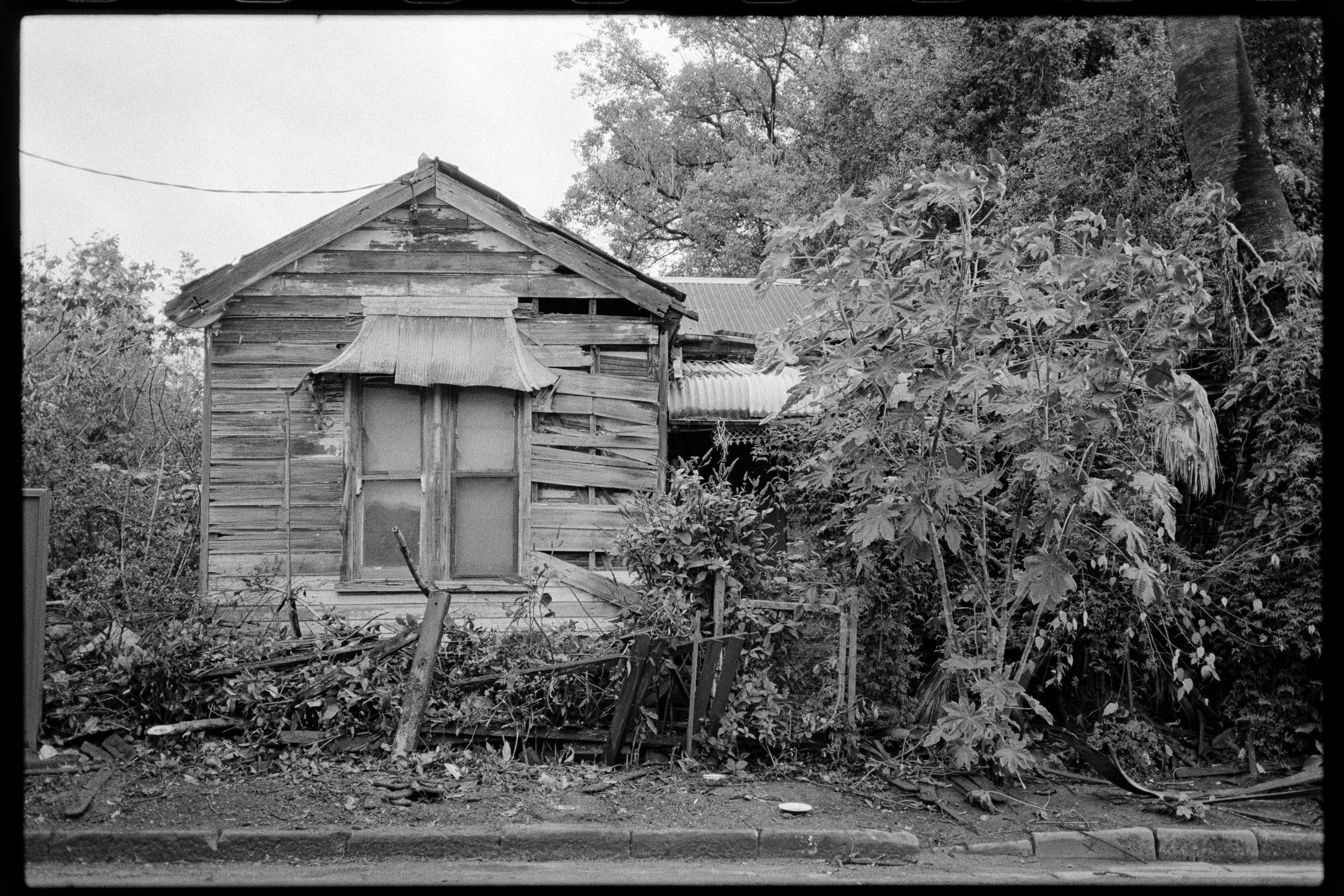 (Roll 31) June Kentmere 400  (Home Dev + Scan)-19.jpg