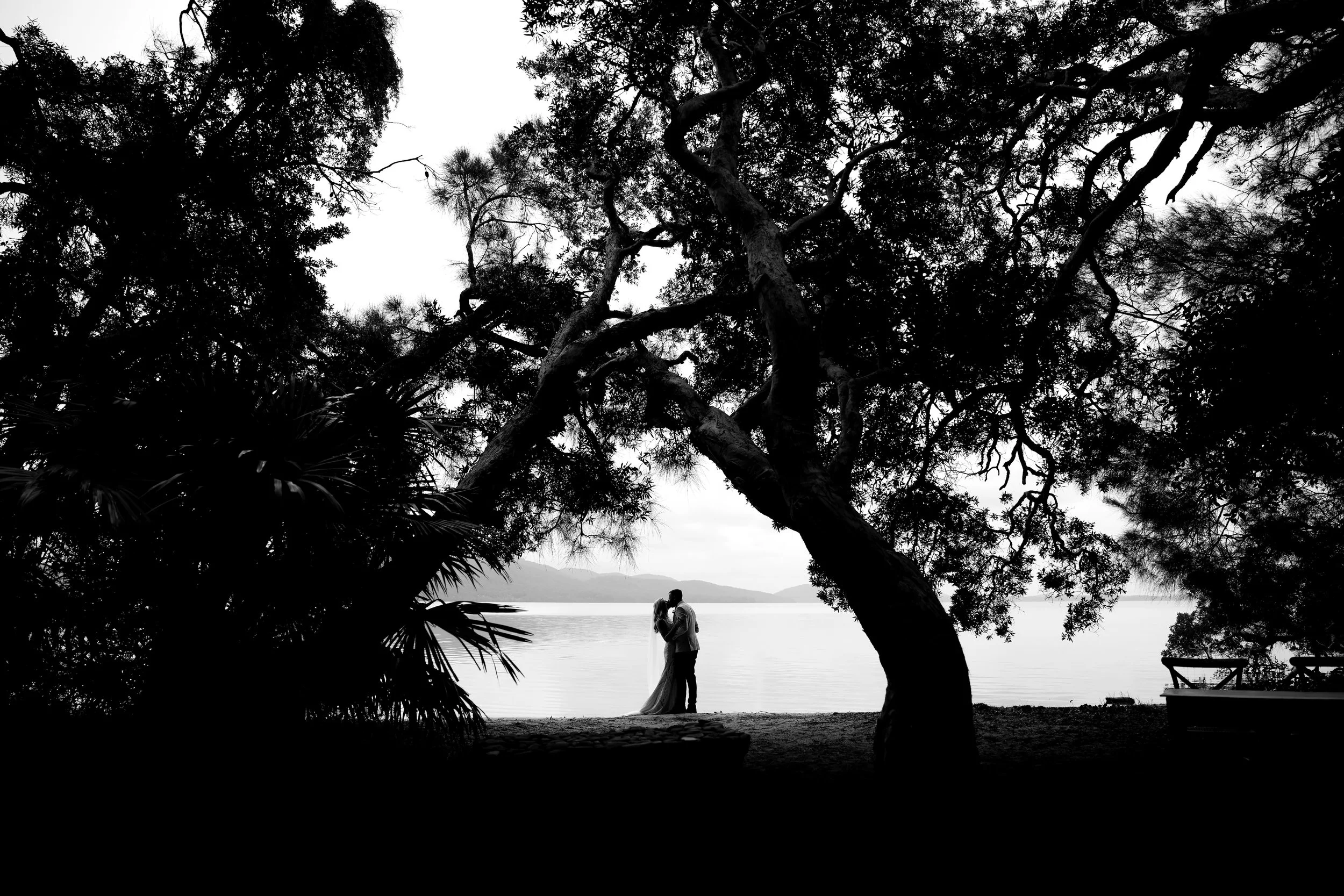 Silhouettes of a couple kissing on a beach framed by large trees, with water and distant mountains in the background in black and white.