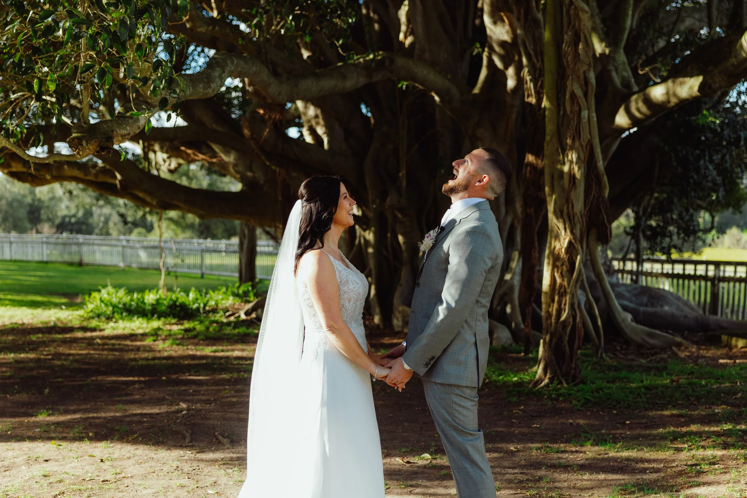 A bride and groom holding hands and smiling at each other outdoors under a large, sprawling tree with thick branches and dense leaves during a sunny day.
