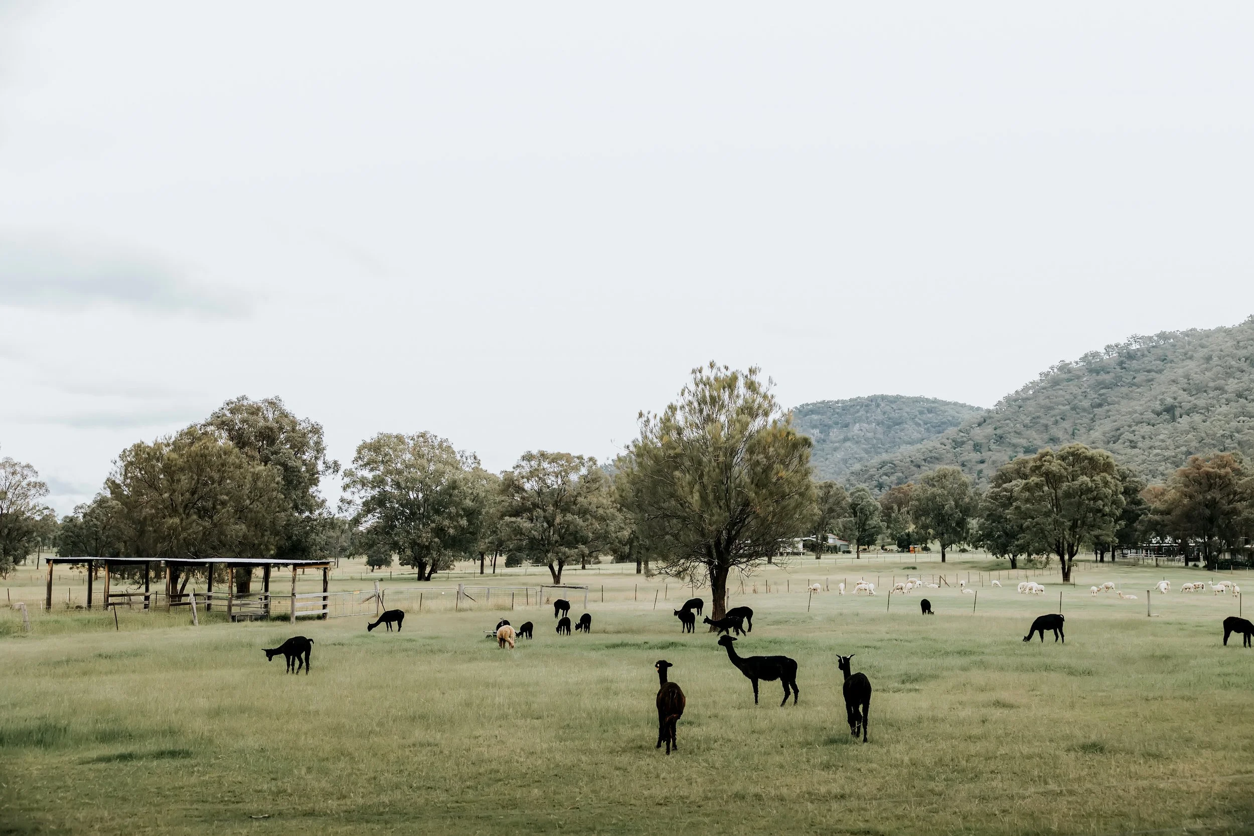 Blake Chaney Photography-16.jpg
