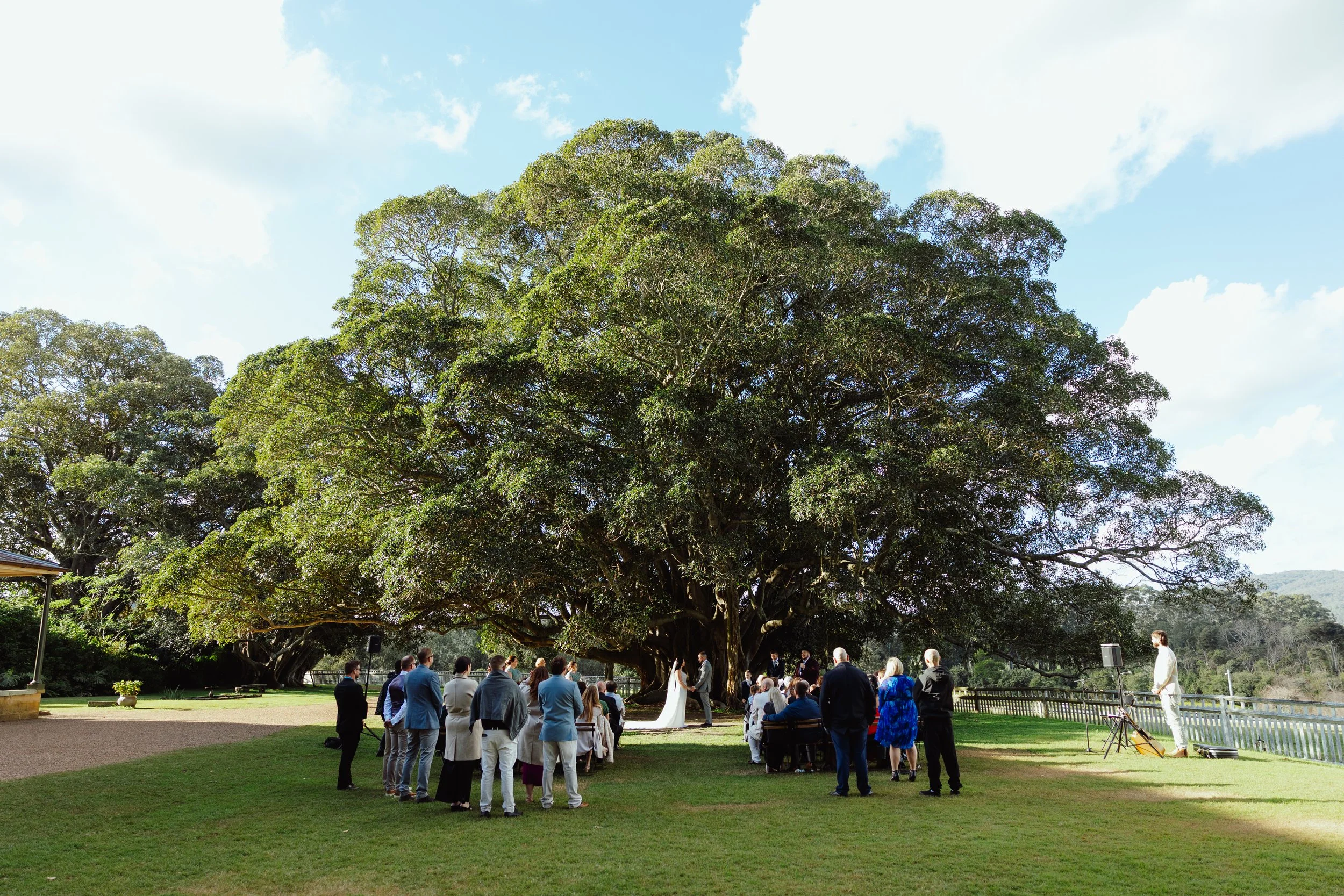 A group of people gathered outdoors under a large tree with extensive branches and green foliage, possibly for a wedding or event, with a clear blue sky and a few clouds in the background.
