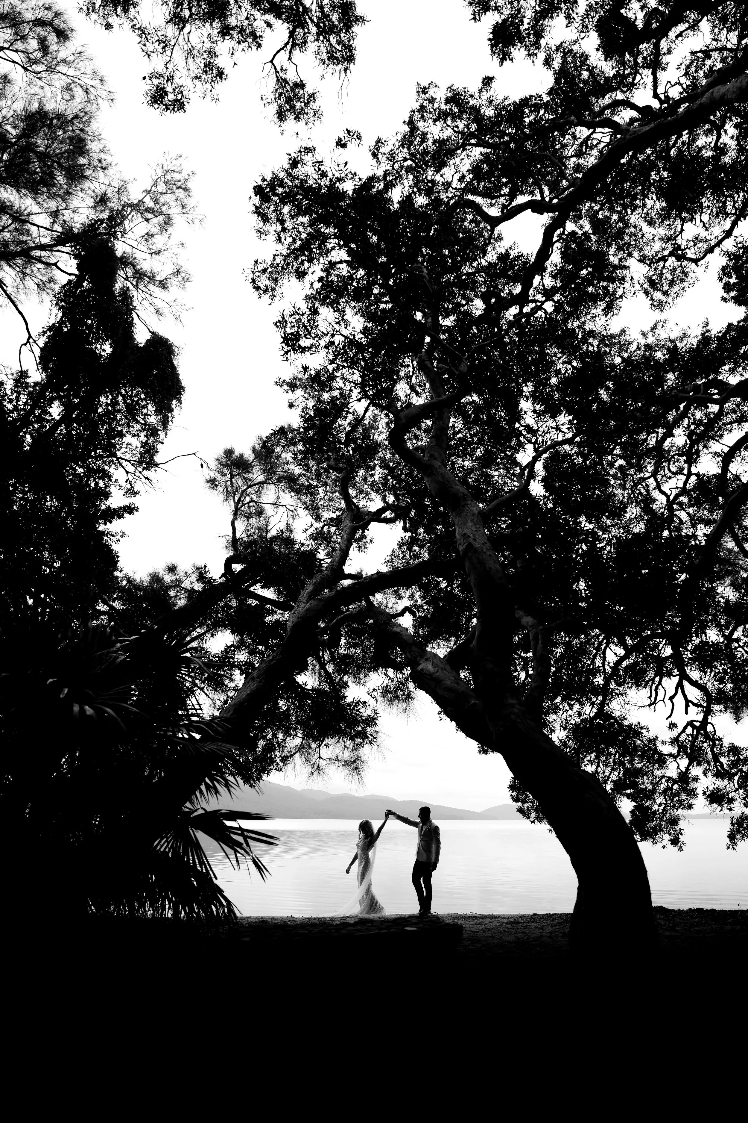 Black-and-white photo of a couple holding hands under a large tree by the water, with mountains in the background.