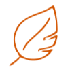 An orange outline of a winged feather or quill