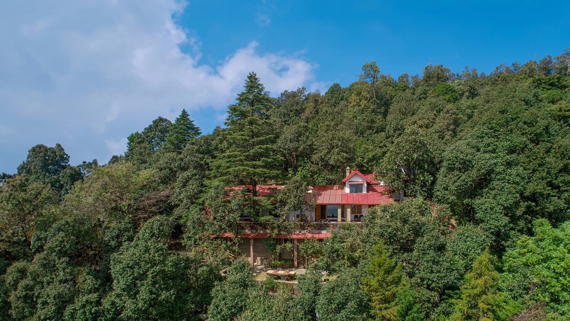 Mary Budden Estate