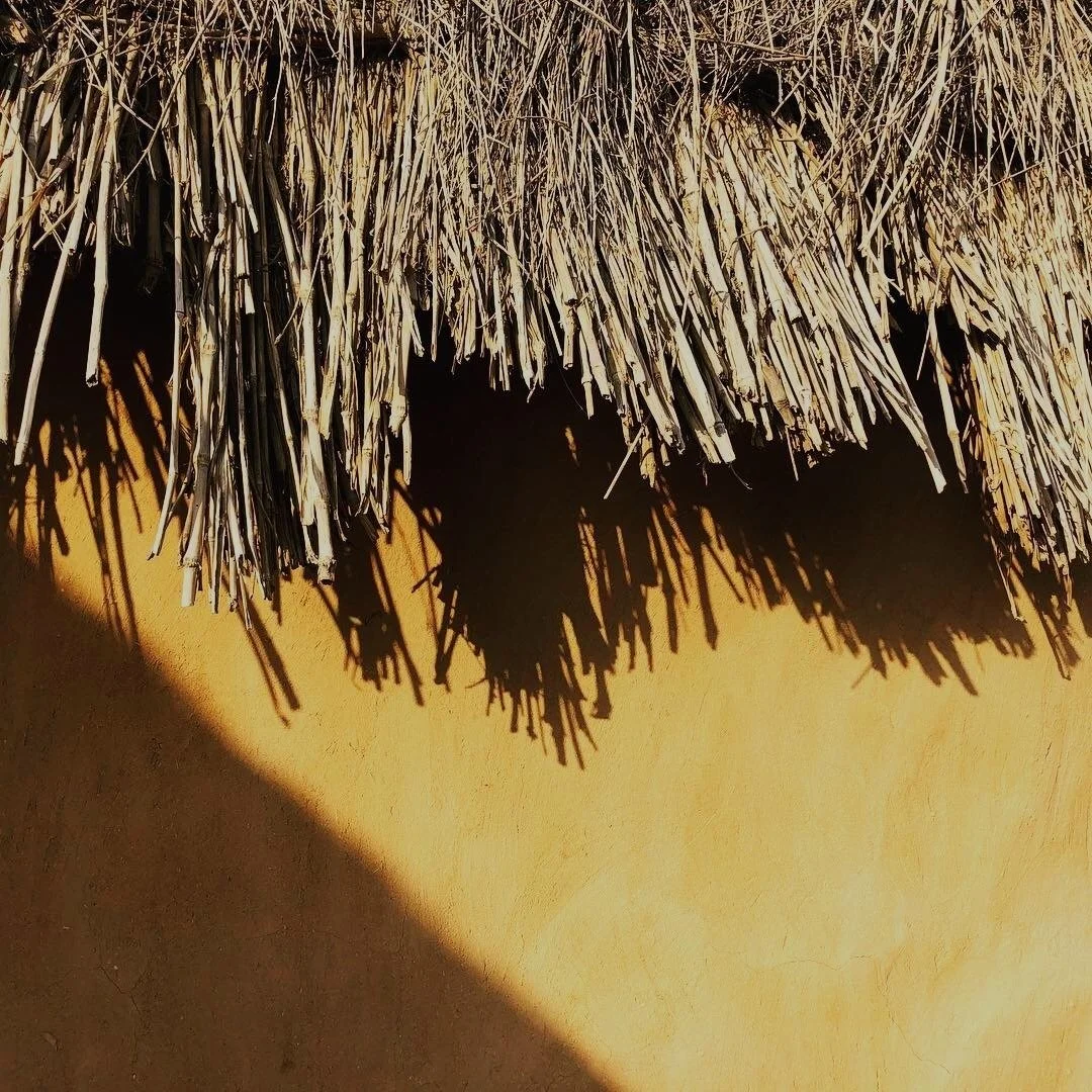 Marginlands : A Conversation with Arati