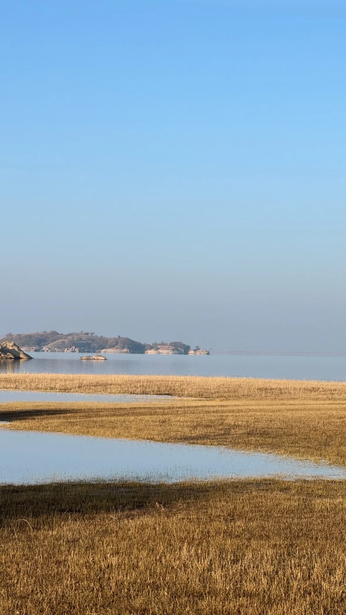 Jawai