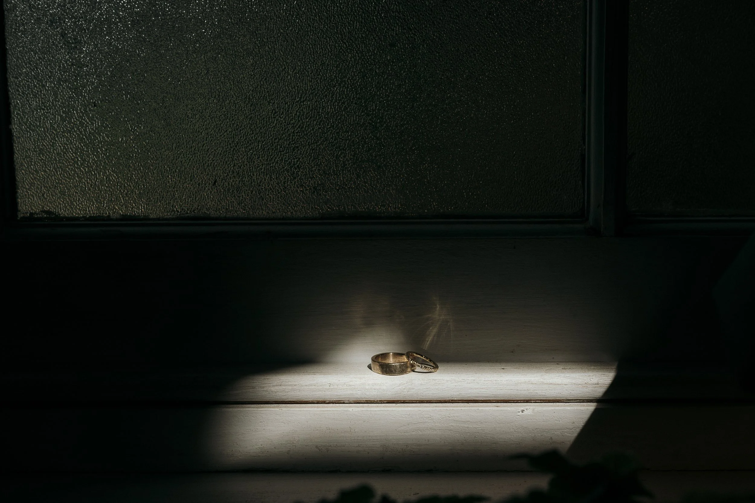 Wedding rings sitting in dramatic lighting in the Potting Shed