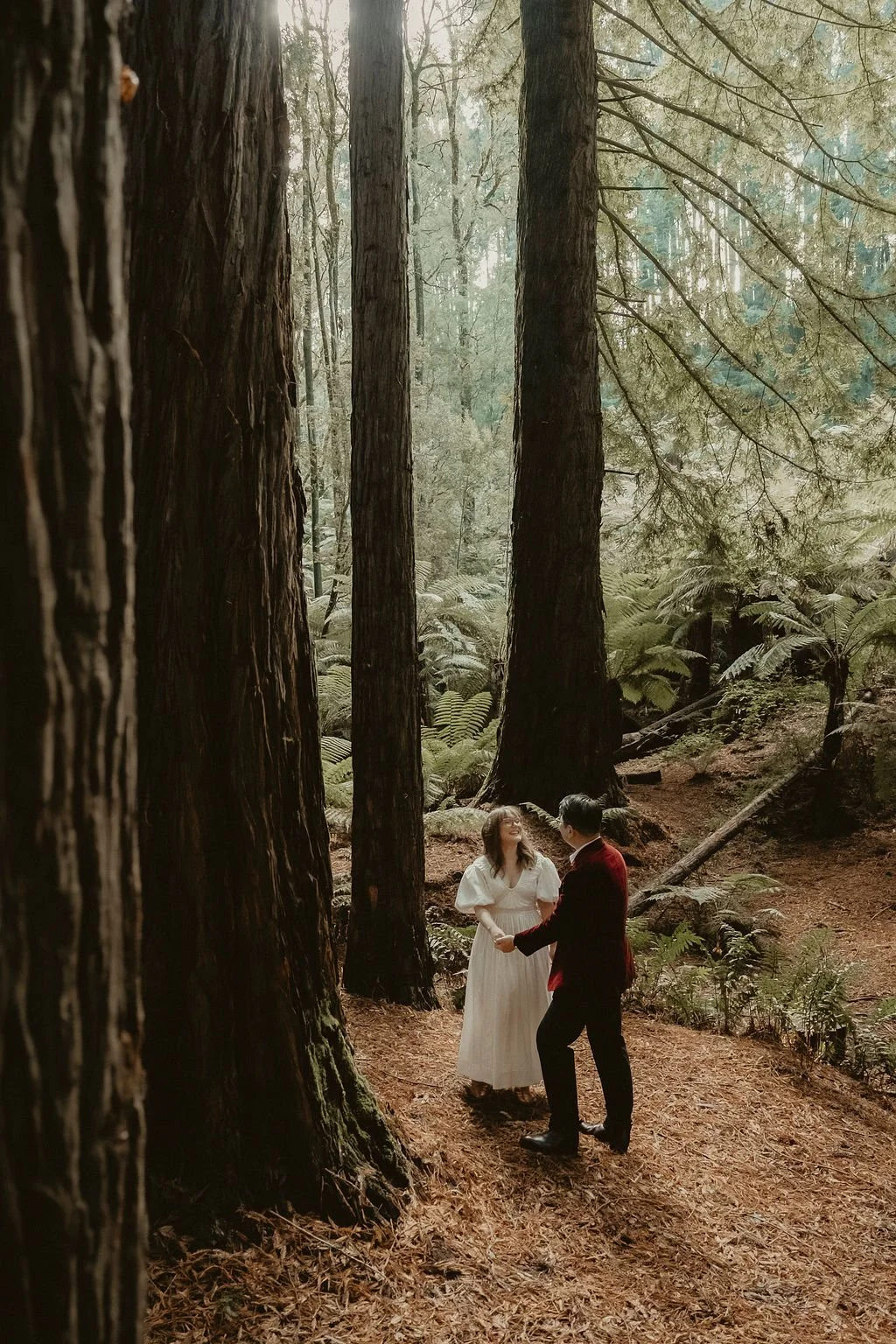 The Otways Redwoods Engagement
