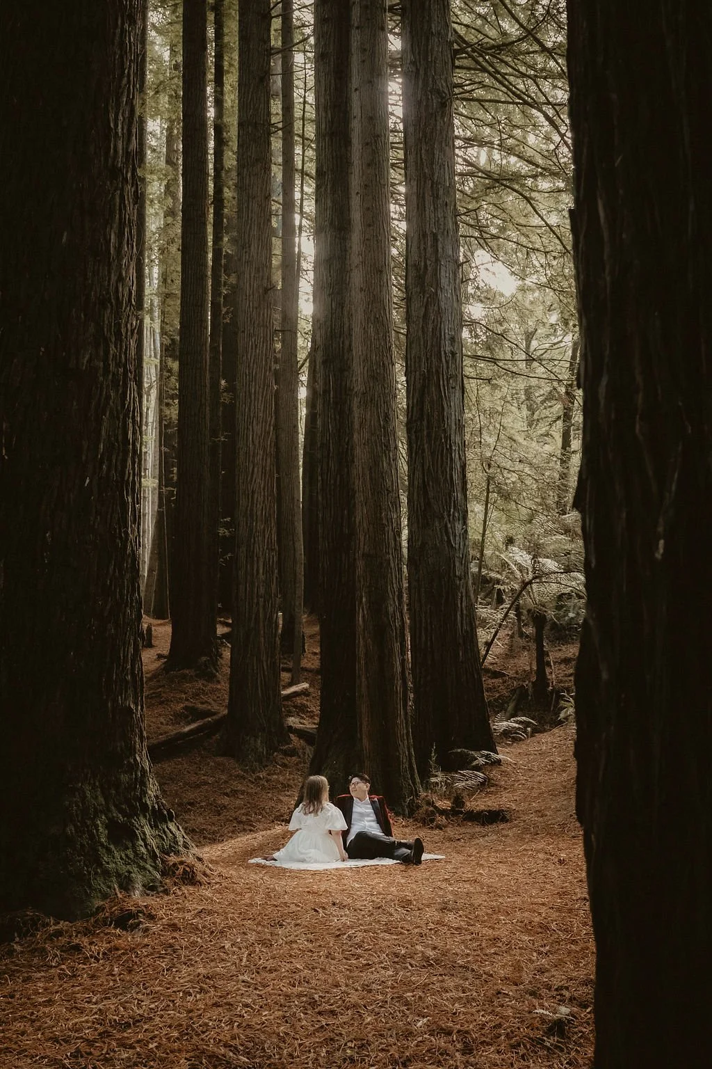 The Redwoods Otways Engagement