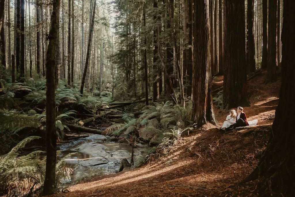 Engagement photographer