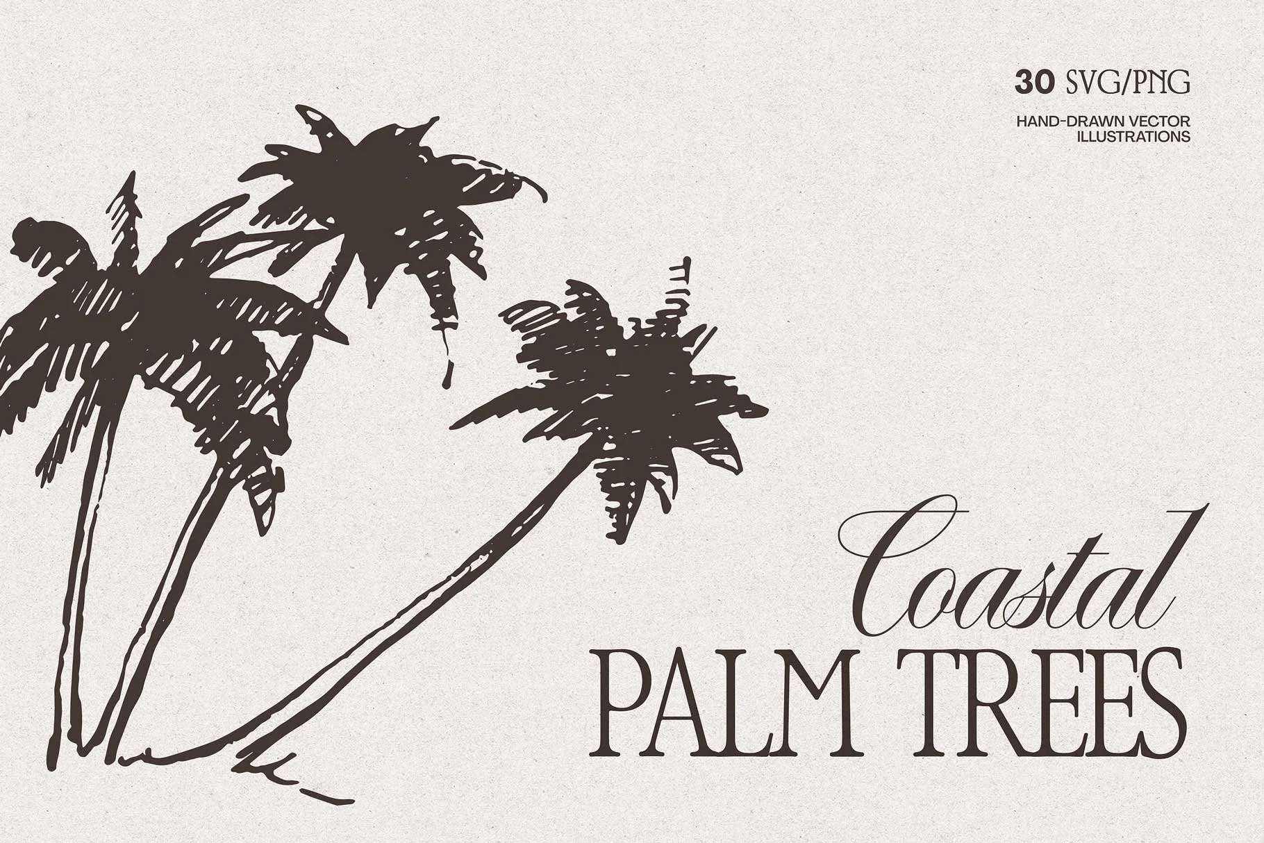 palm-tree-v-2-01.jpg