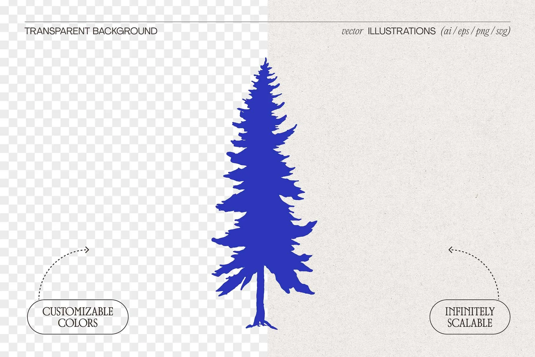 fir-silhou-02.jpg