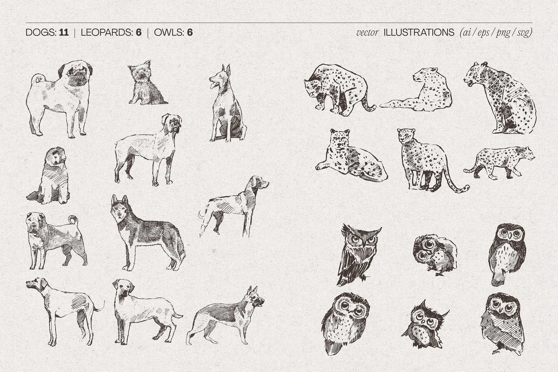 animal-bundle-12.jpg