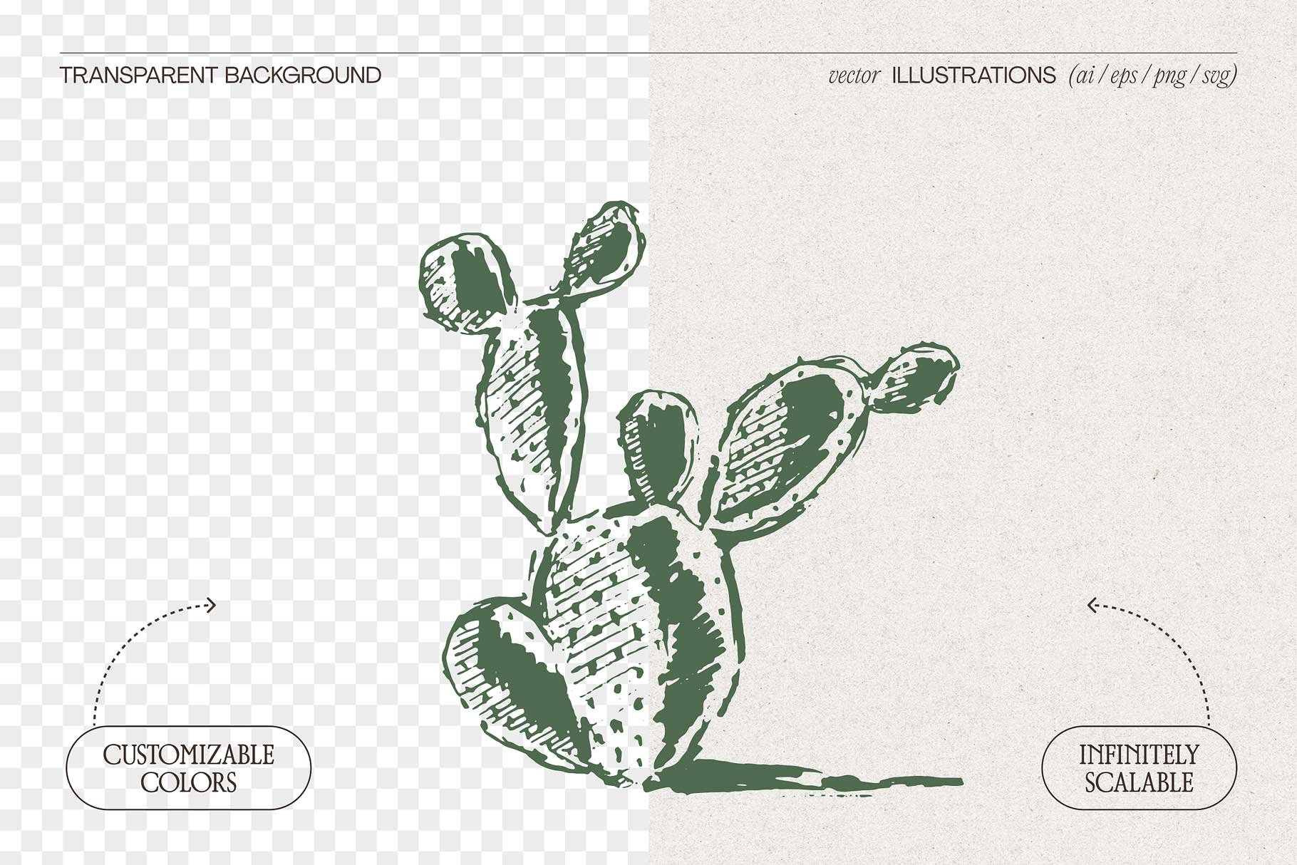 cacti-2.jpg