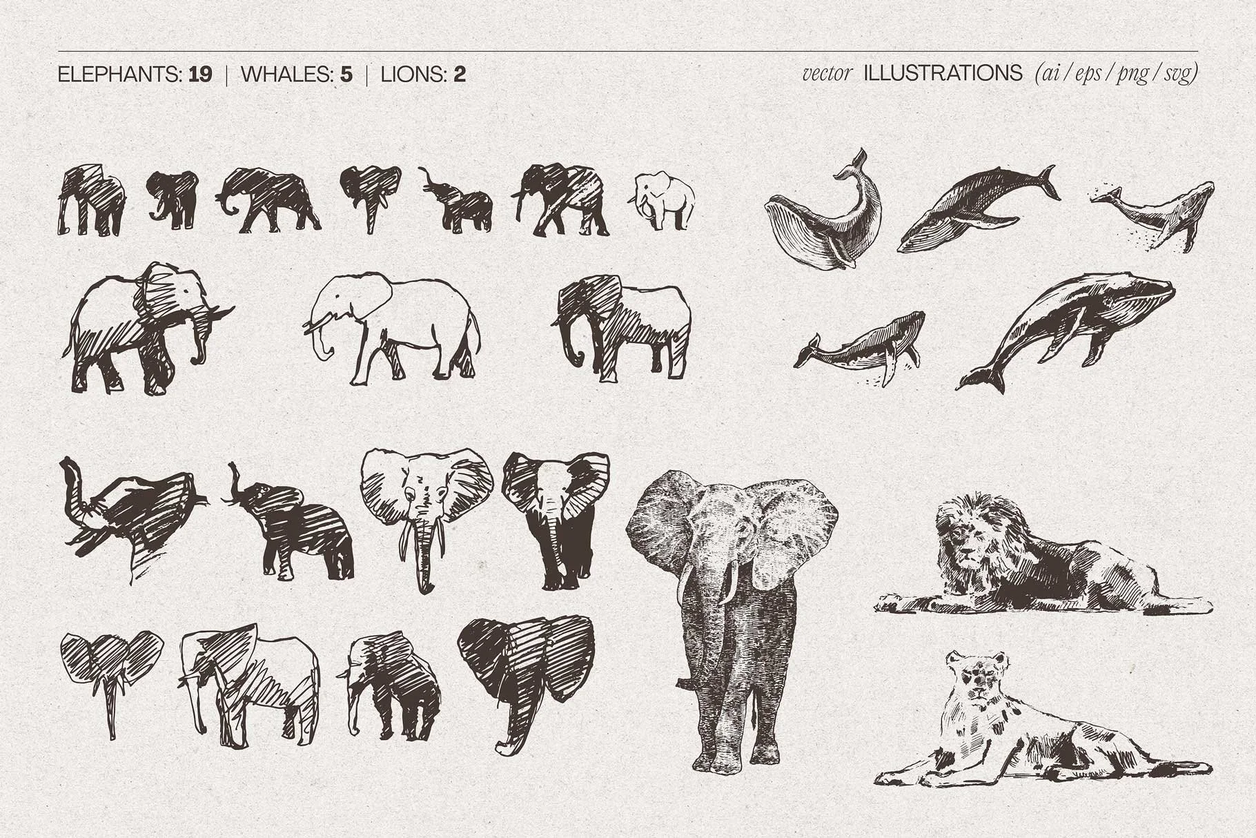 animal-bundle-14.jpg