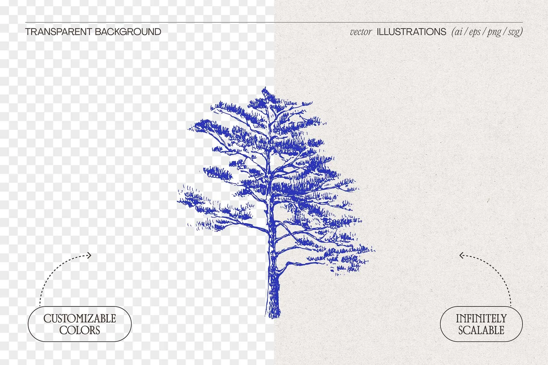 tree-sketch-02.jpg