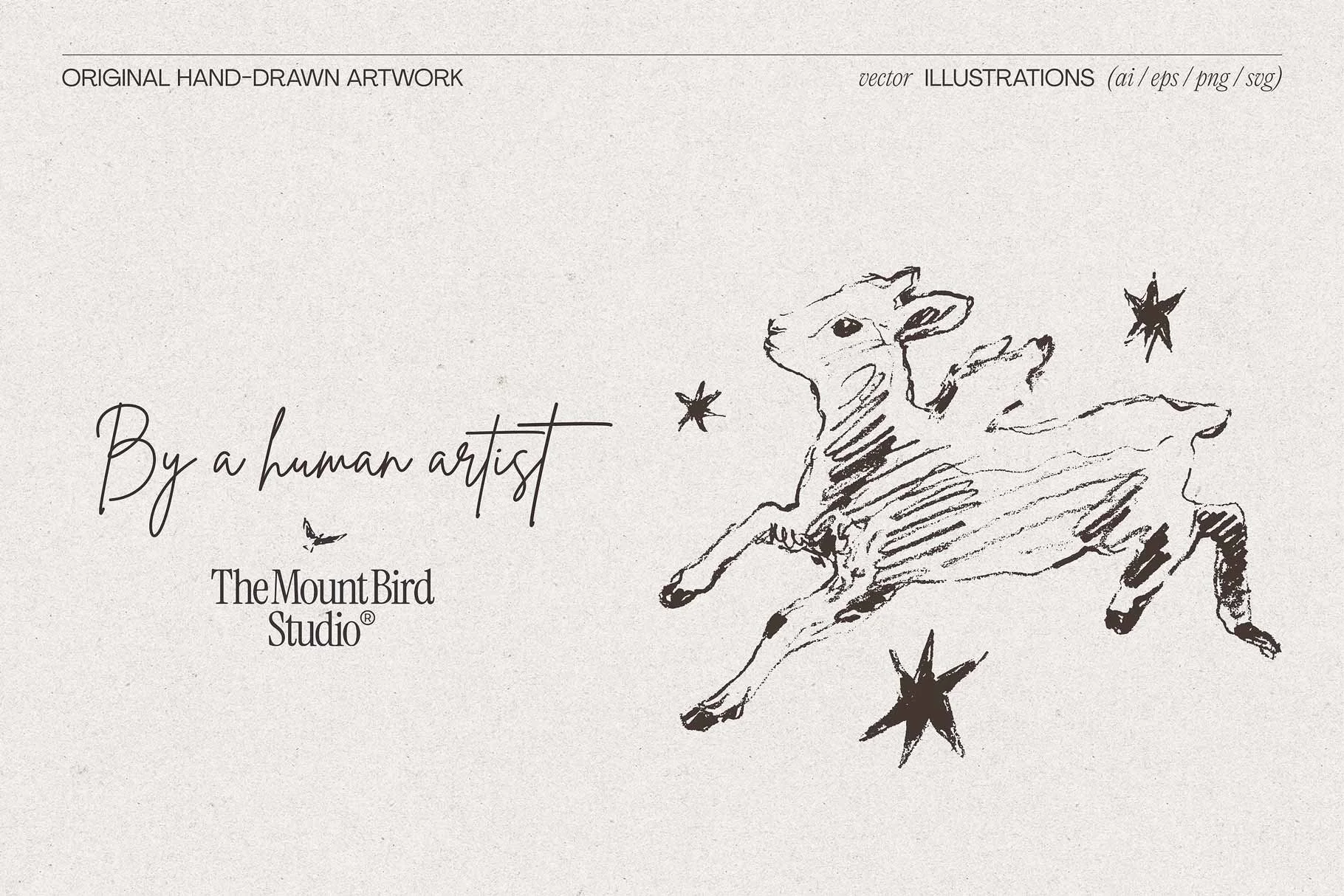 sheep-lamb-03.jpg