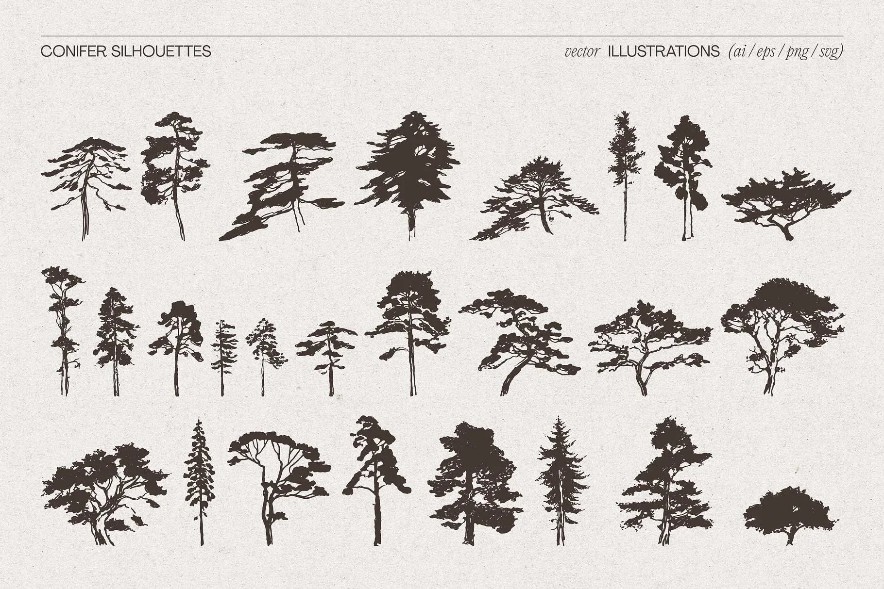 conifer-10.jpg