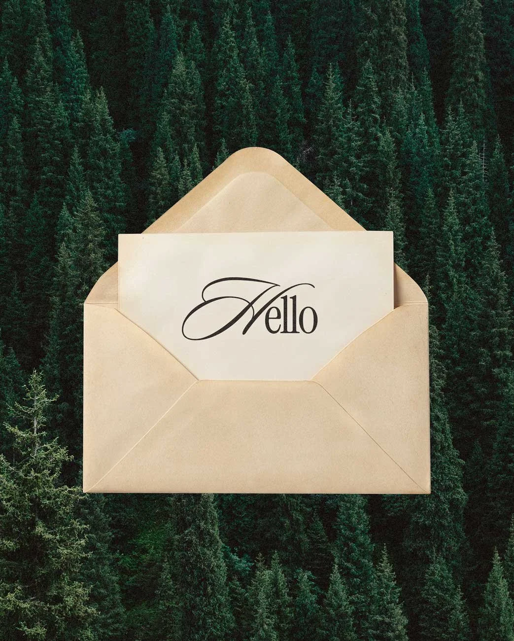 An open beige envelope with a card inside that says 'Hello' in stylish black cursive font, set against a backdrop of a dense green forest.