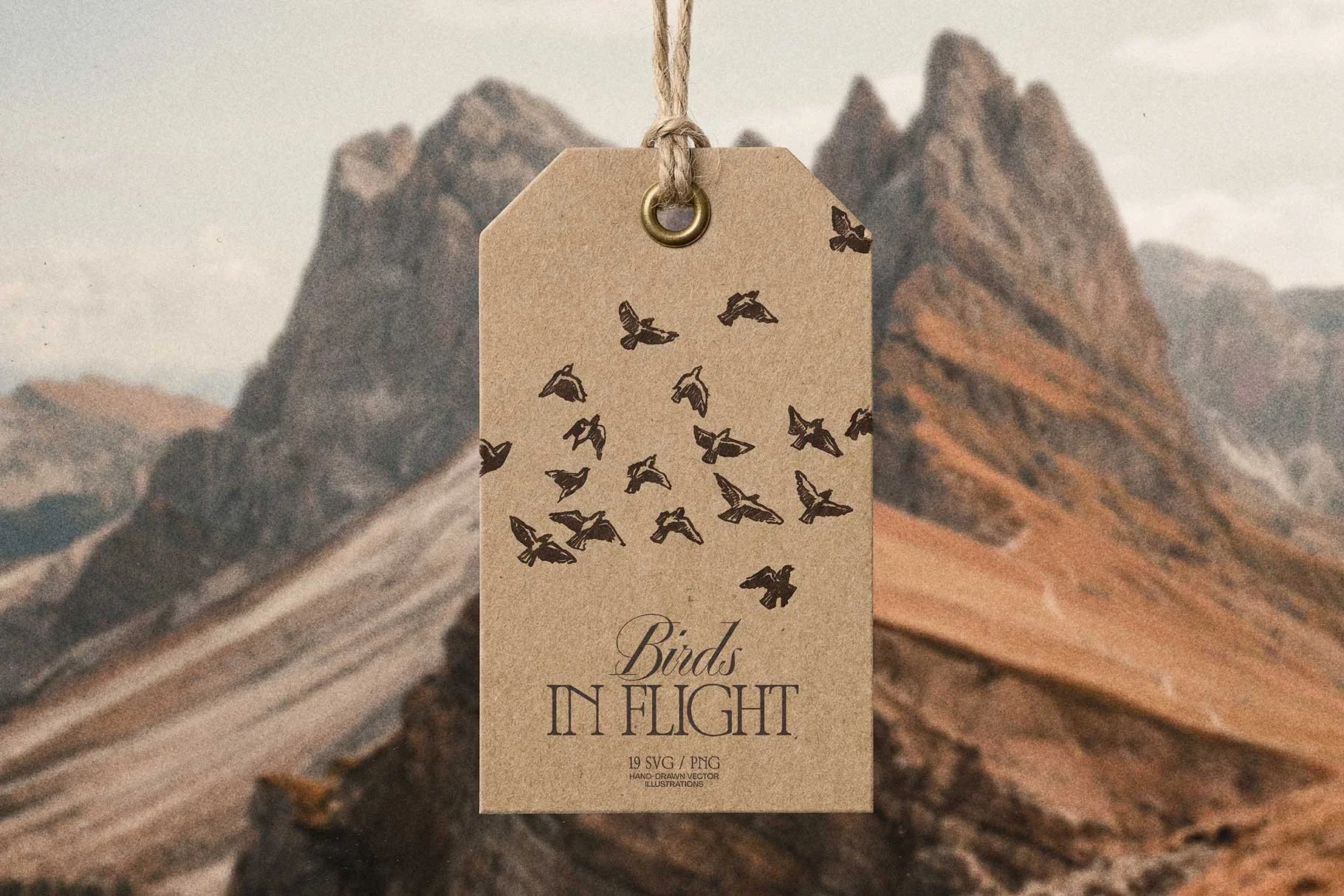 birds-flig-11.jpg
