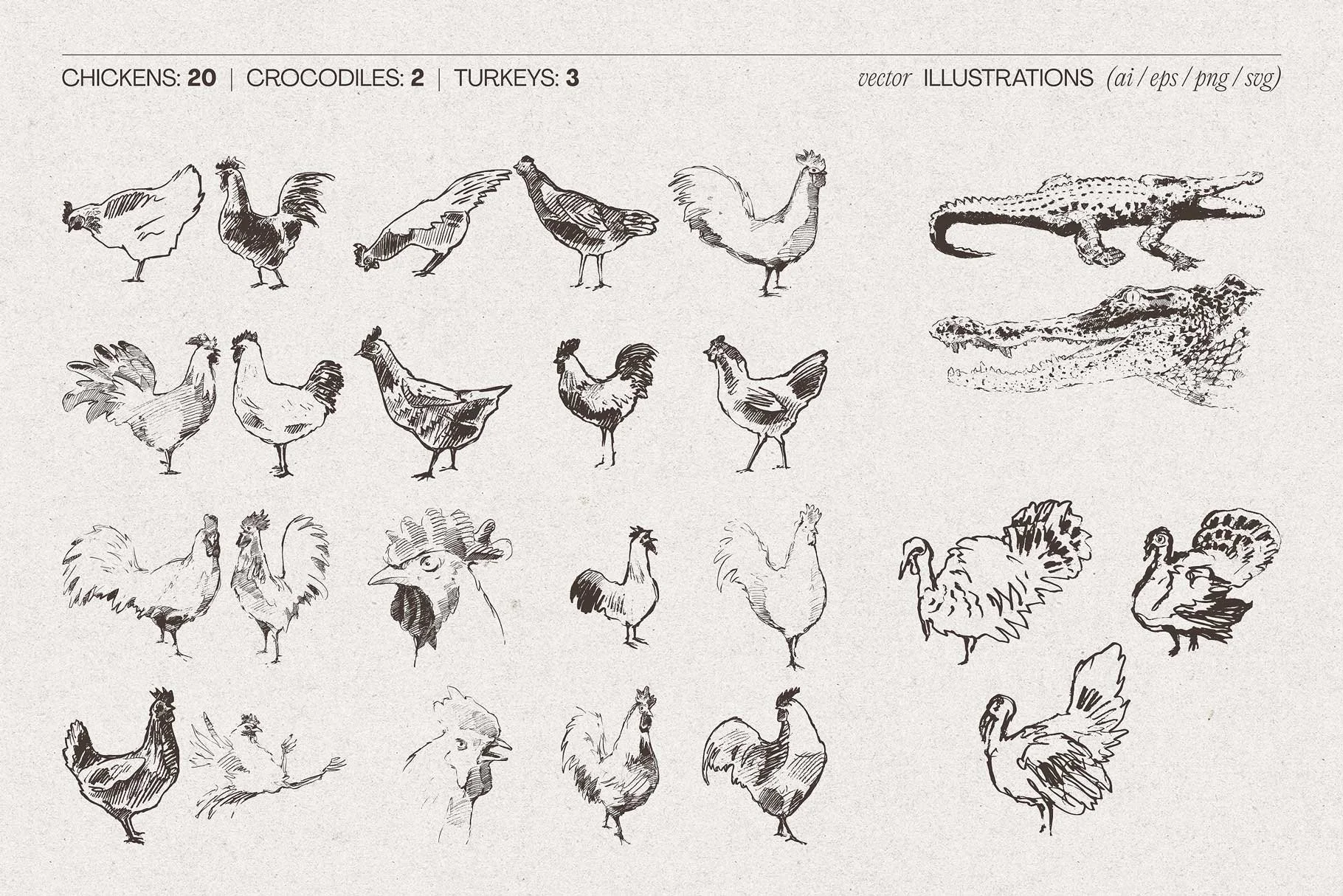 animal-bundle-06.jpg