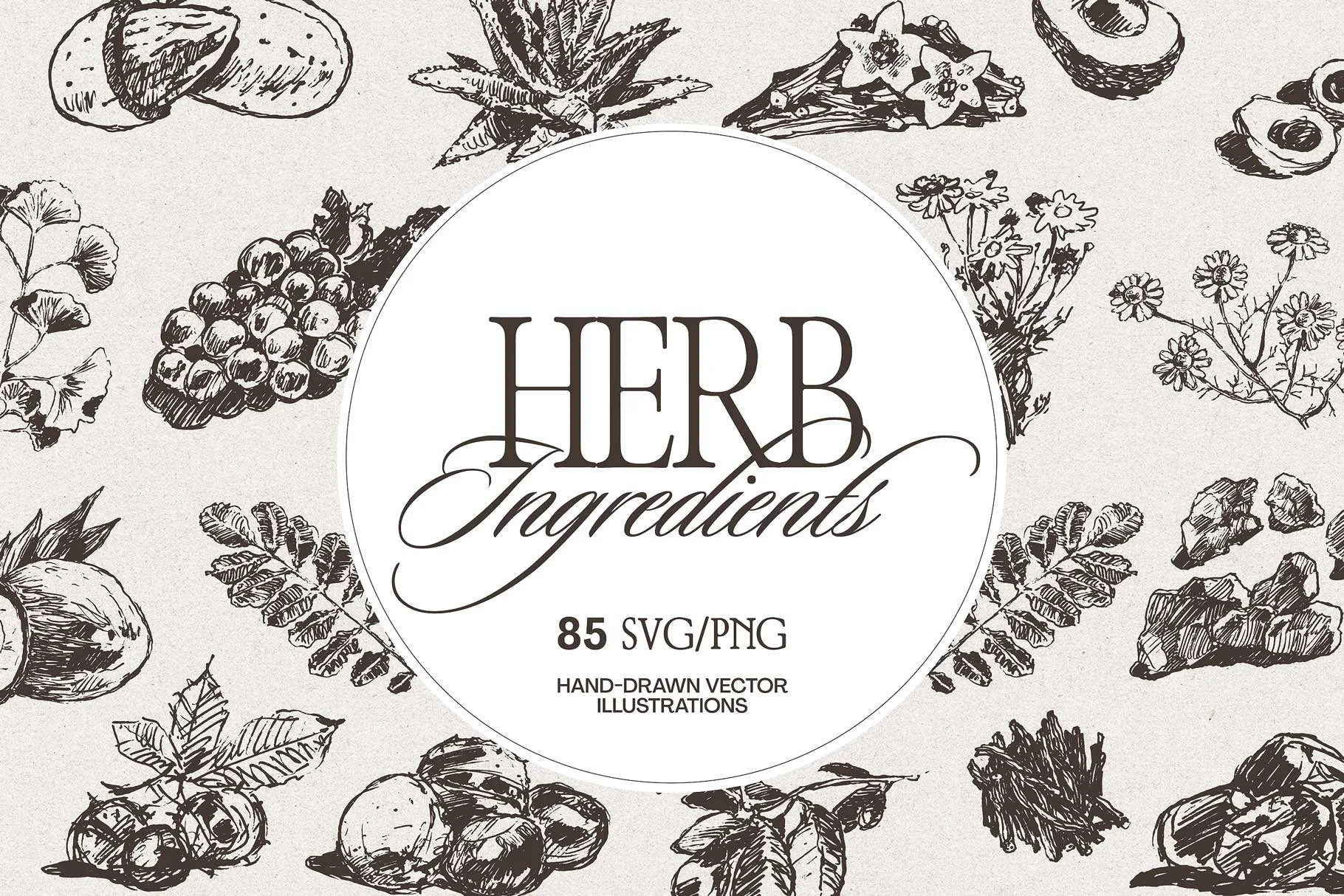 herb-ingr-01.jpg