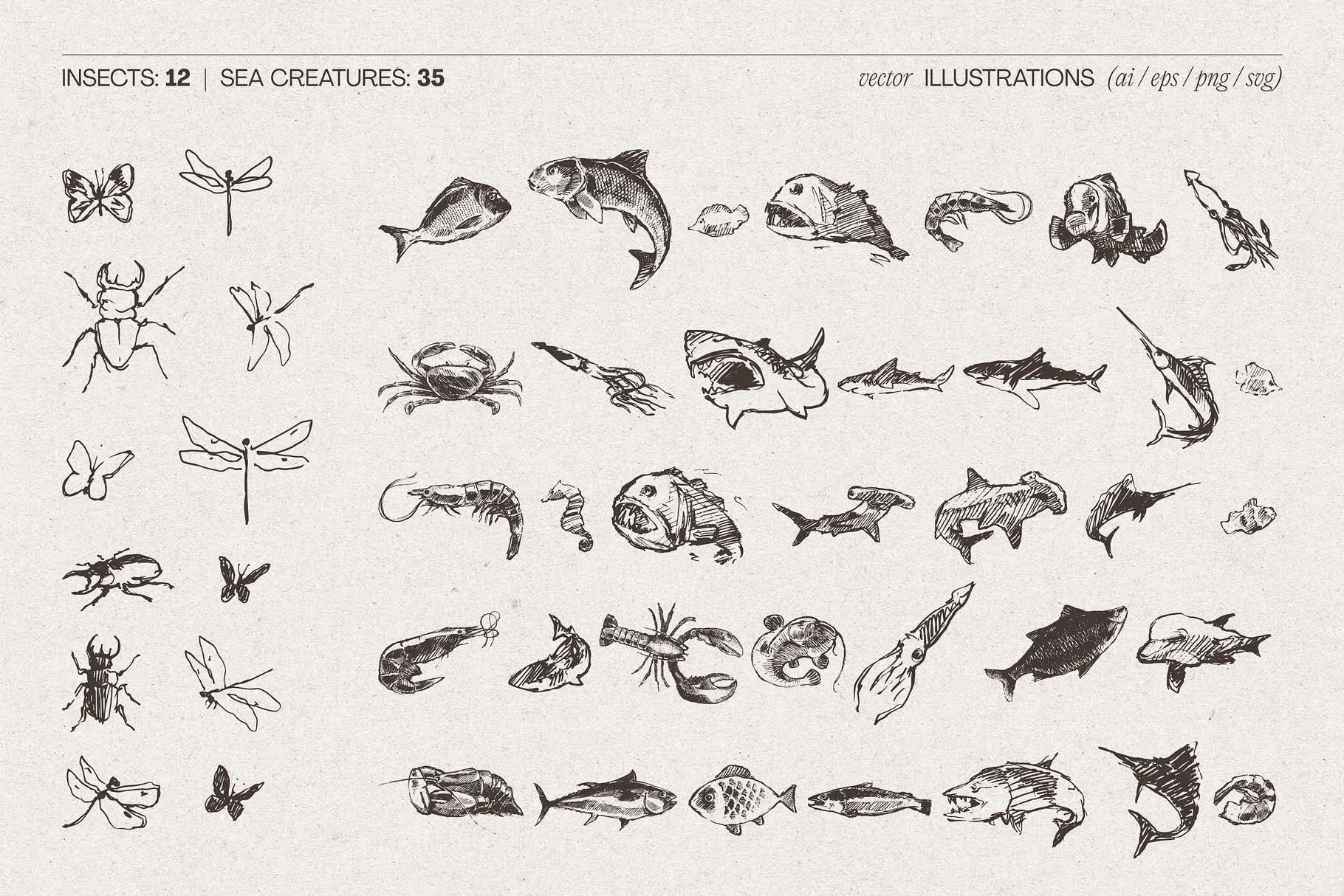 animal-bundle-16.jpg
