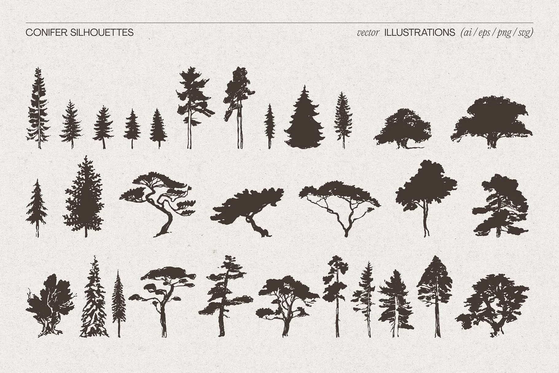 conifer-09.jpg