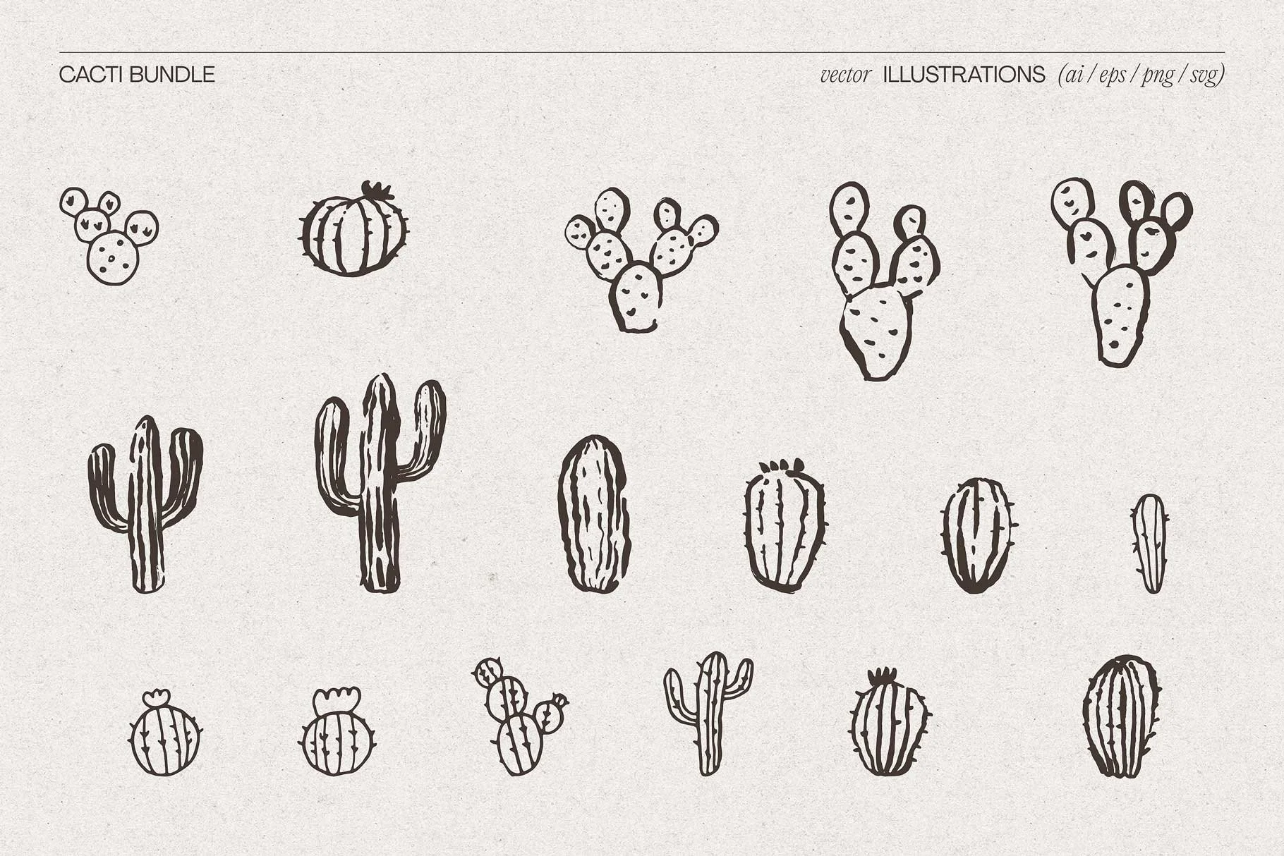 cacti-6.jpg